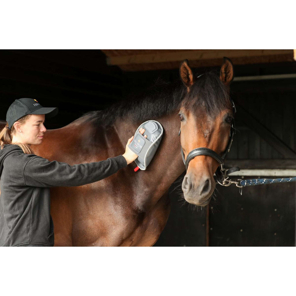 Equilibrium Massagehandschoen Hotspot Grijs