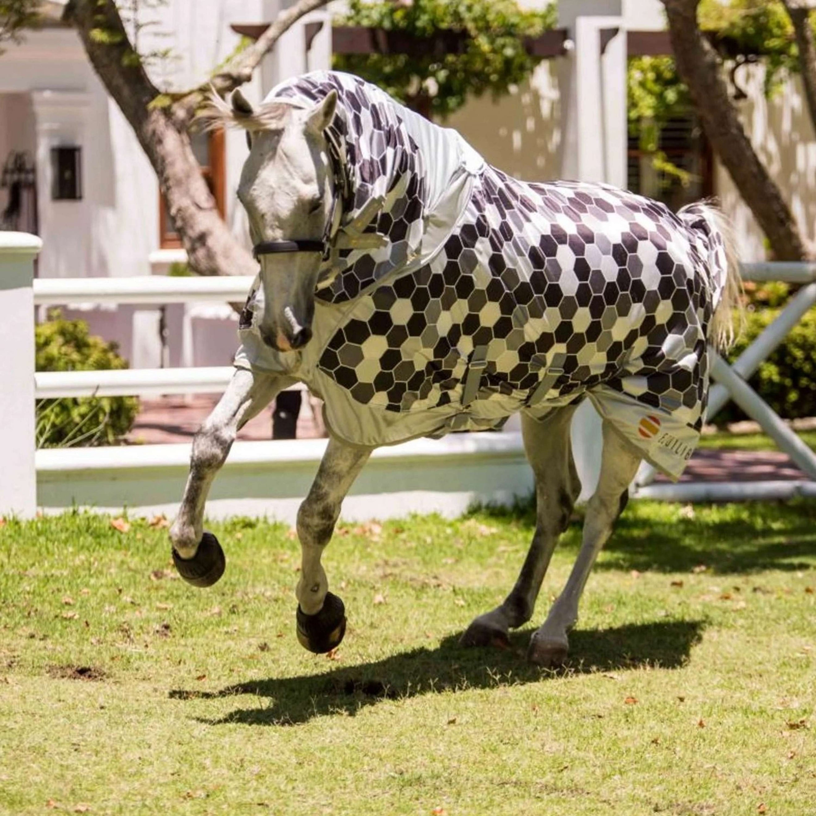 Equilibrium Vliegendeken Field Relief Grijs