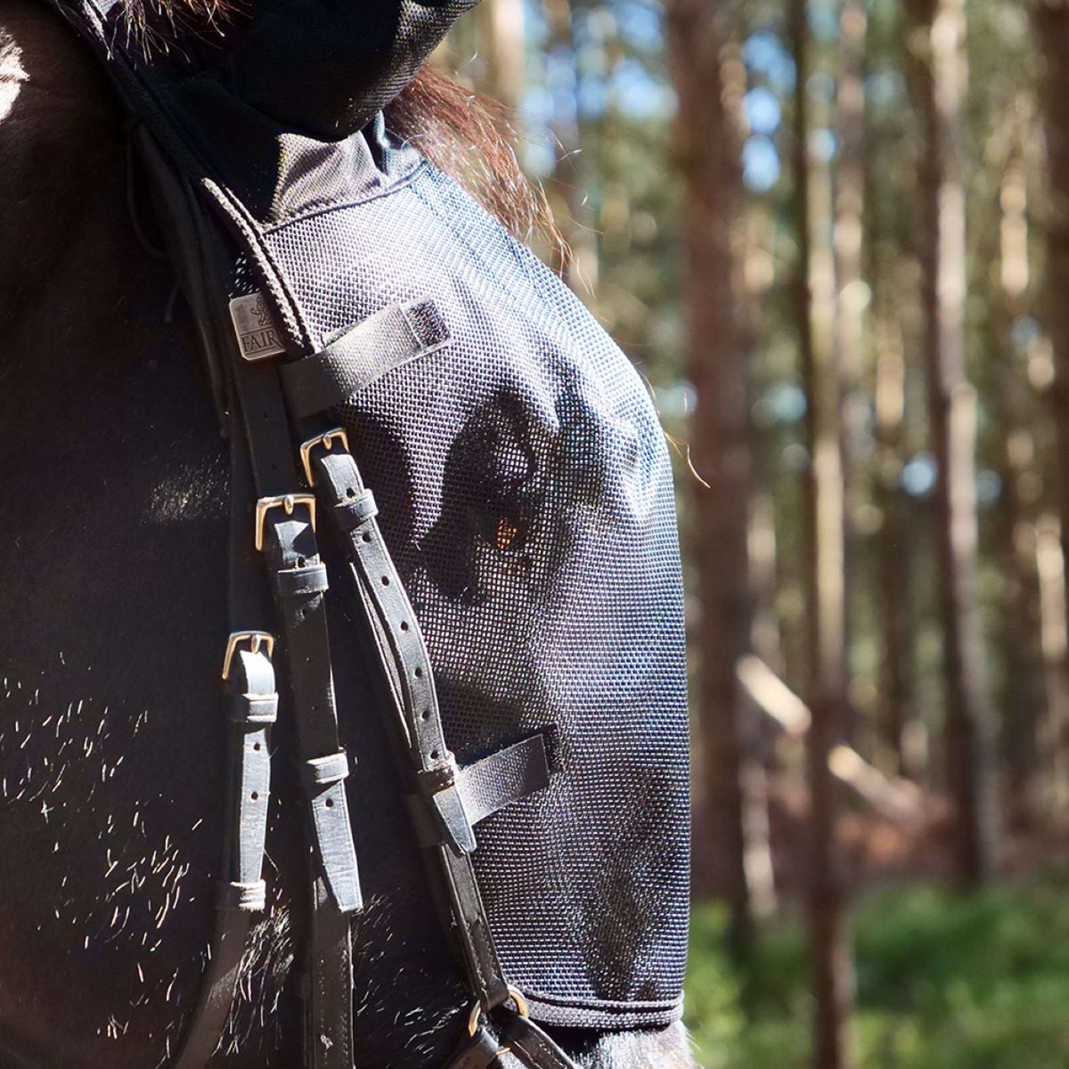 Equilibrium Vliegenmasker Net Relief Voor Hoofdstel