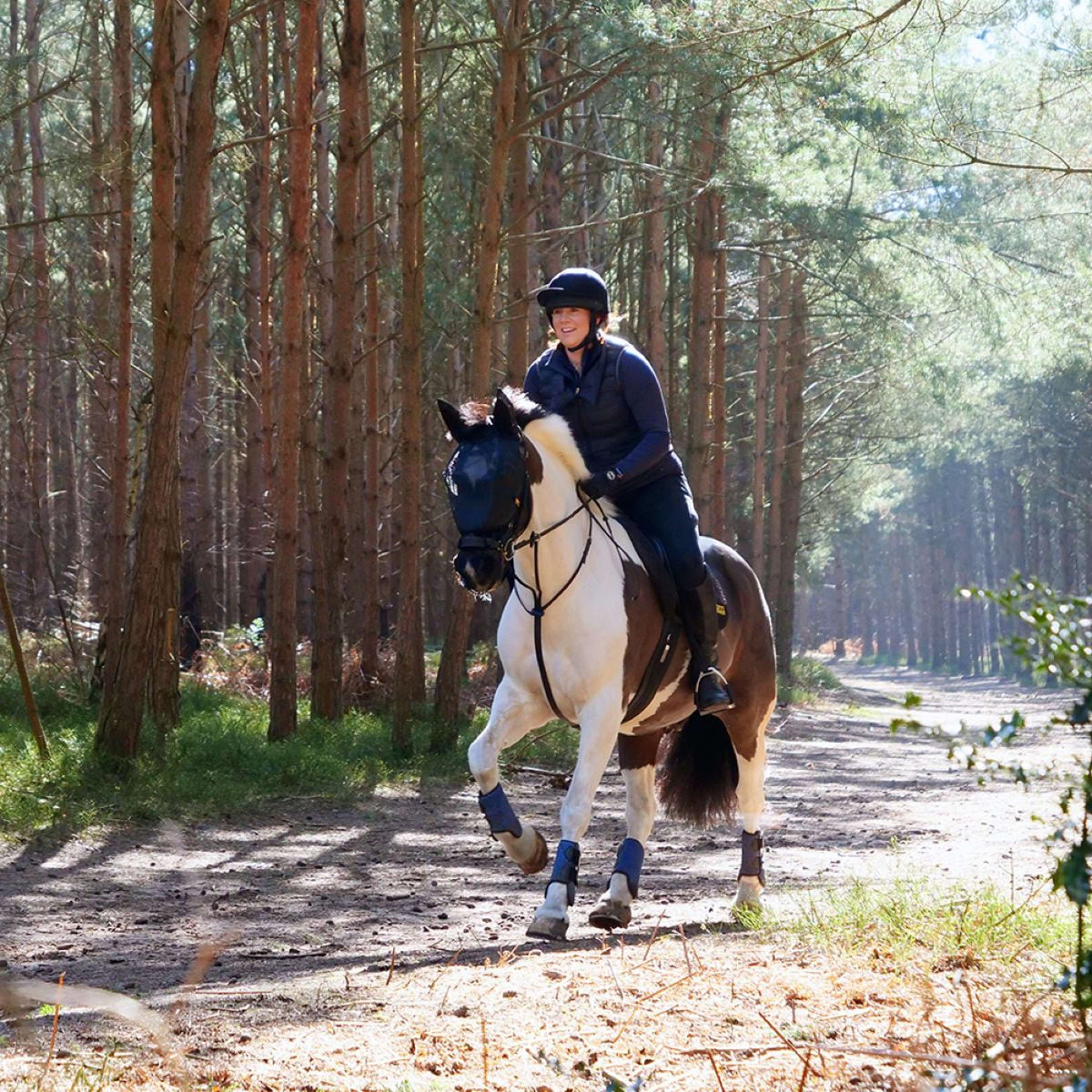 Equilibrium Vliegenmasker Net Relief Voor Hoofdstel