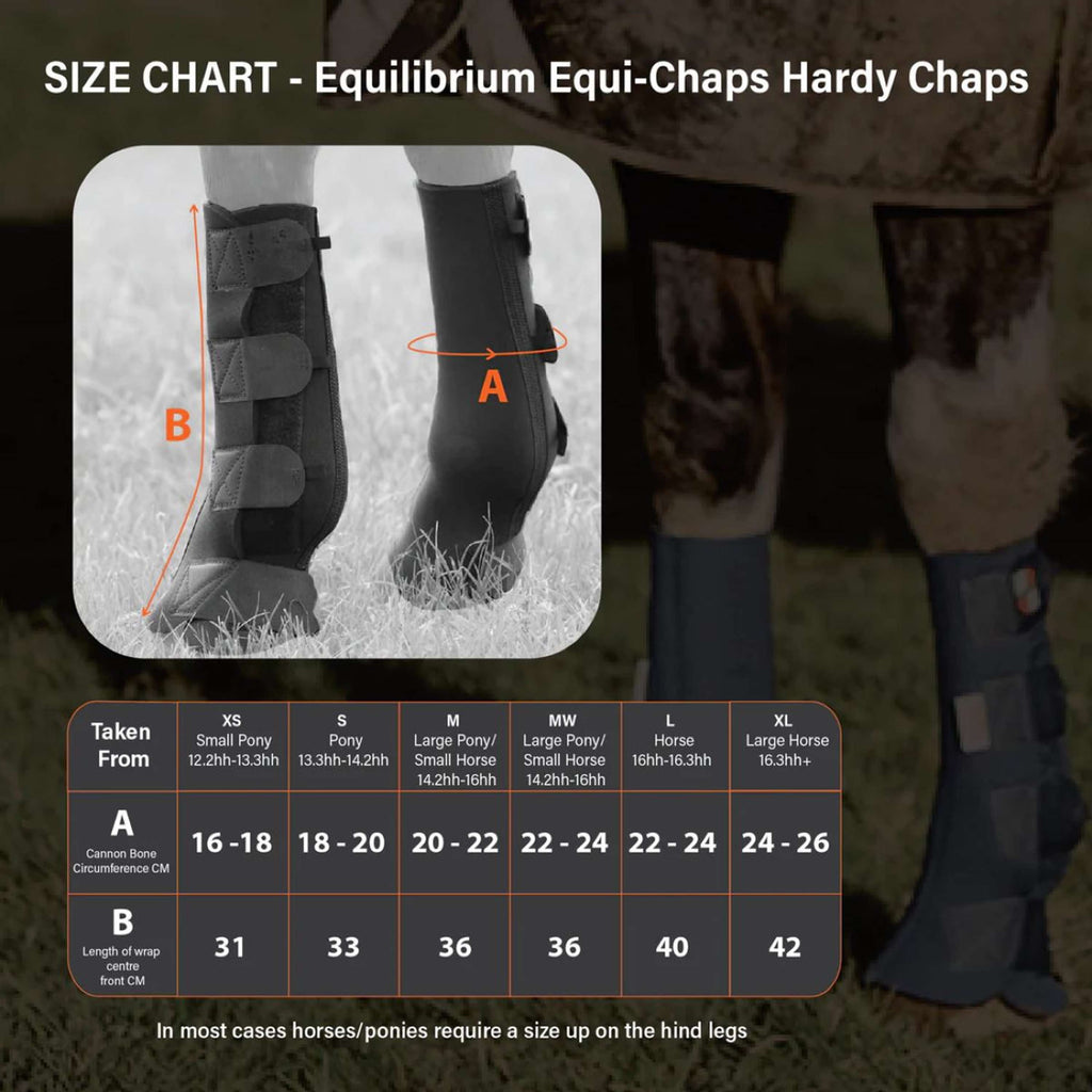Equilibrium Beenbeschermers Equi-Chaps Hardy Navy