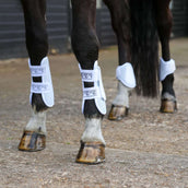 Equilibrium Peesbeschermers Tri-zone Wit