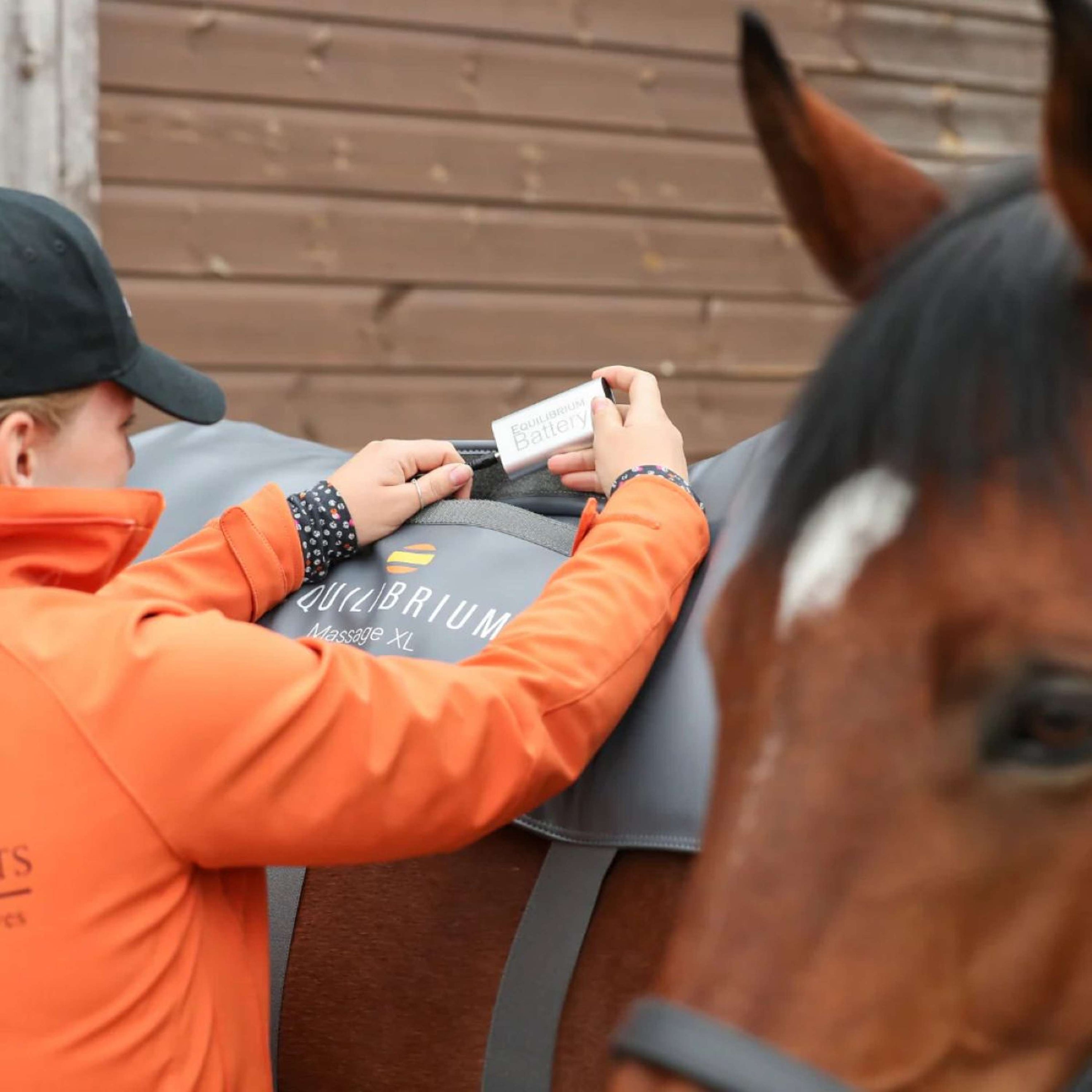 Equilibrium Batterij