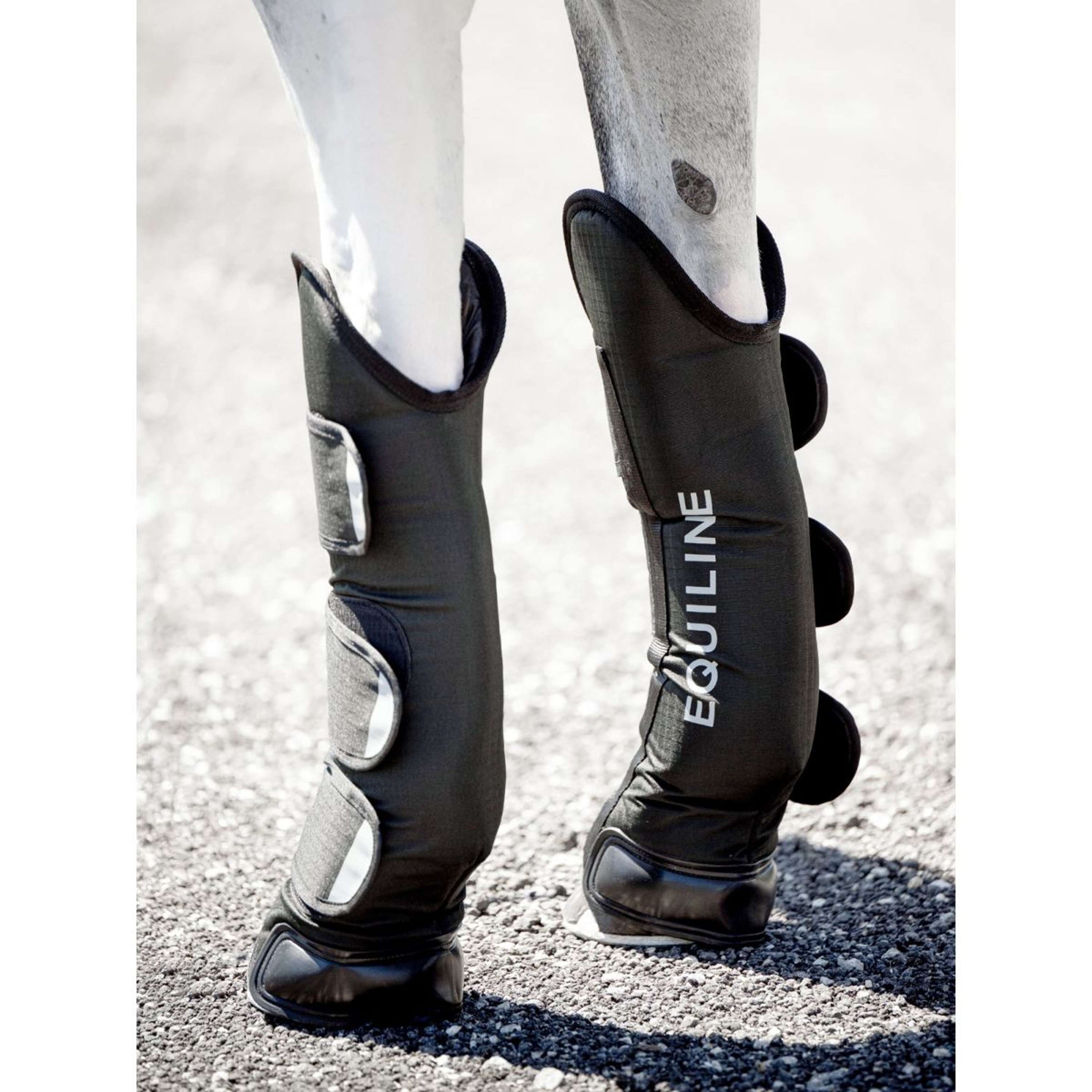 Equiline Transportbeschermers Rex Zwart