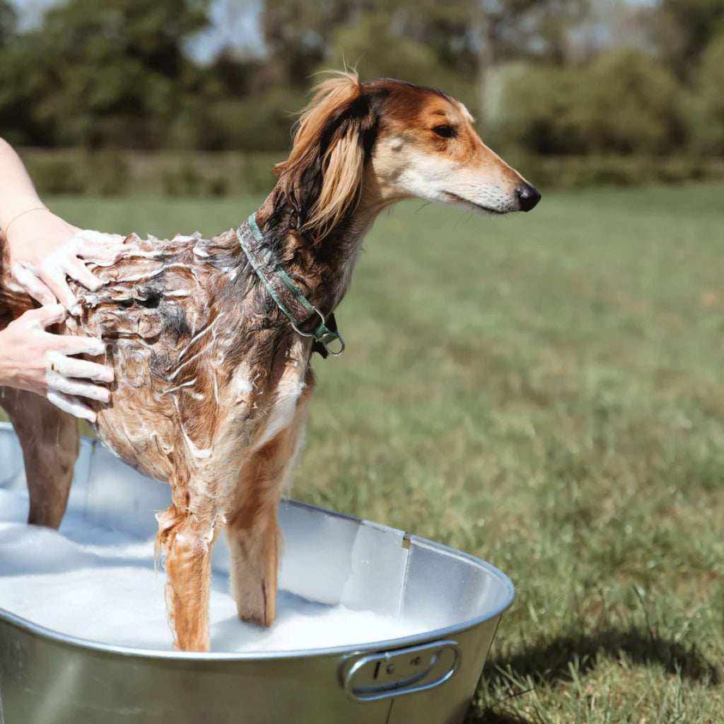 Equine America Shampoo Oat-So-Soothing