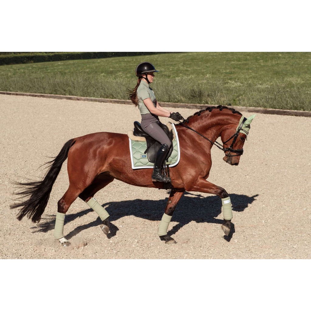 Equestrian Stockholm Oornetje Pistachio White