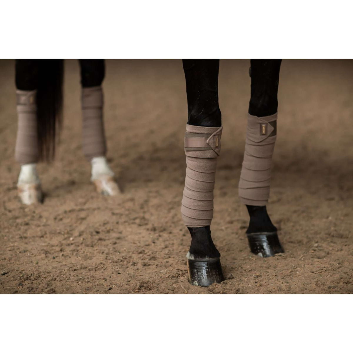 Equestrian Stockholm Bandages Champagne