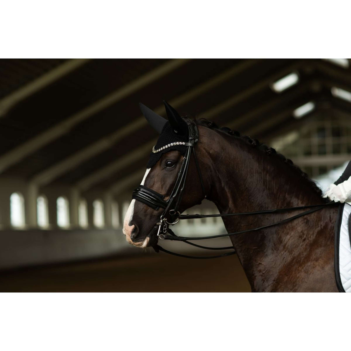 Equestrian Stockholm Oornetje Padded Clean Black