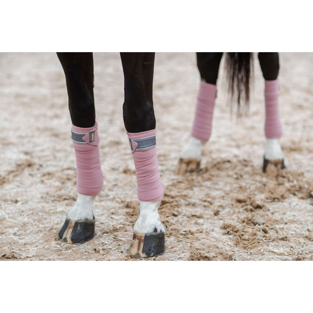 Equestrian Stockholm Bandages Roze