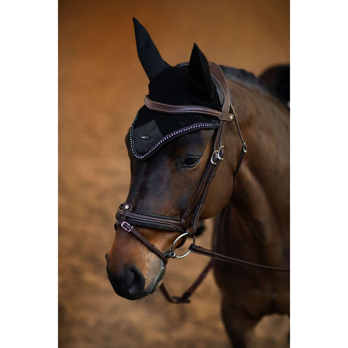 Equestrian Stockholm Oornetje Modern Crystal Black