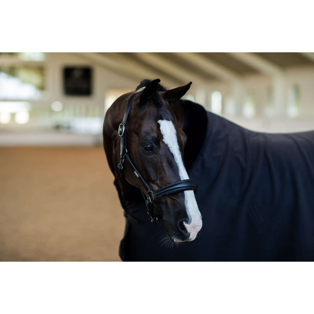 Equestrian Stockholm Halster Glimmer Anatomic Leather Zwart