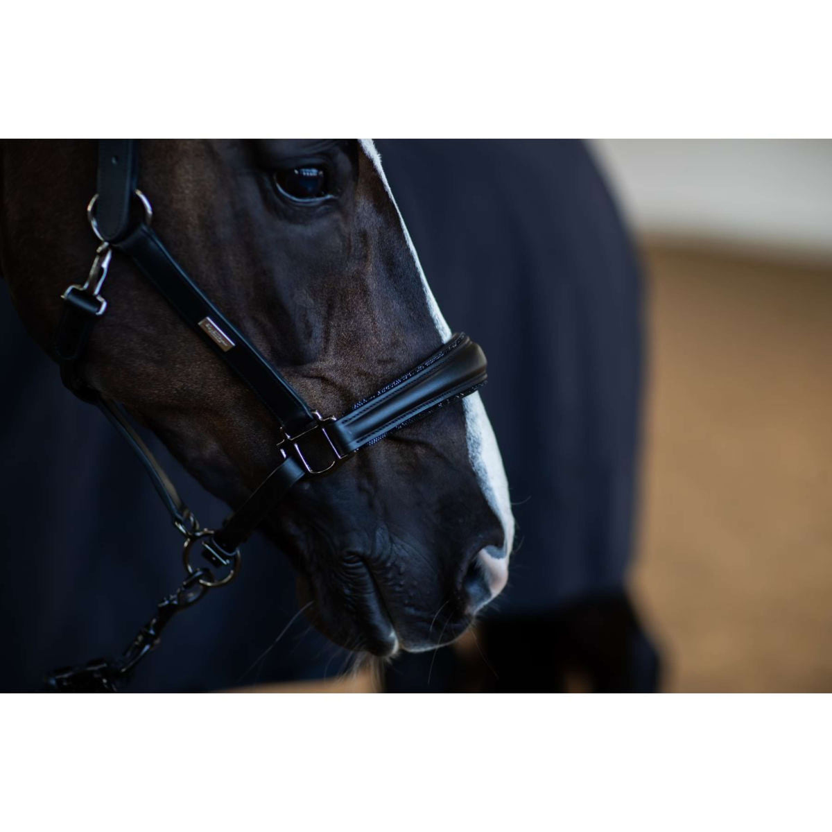 Equestrian Stockholm Halster Glimmer Anatomic Leather Zwart