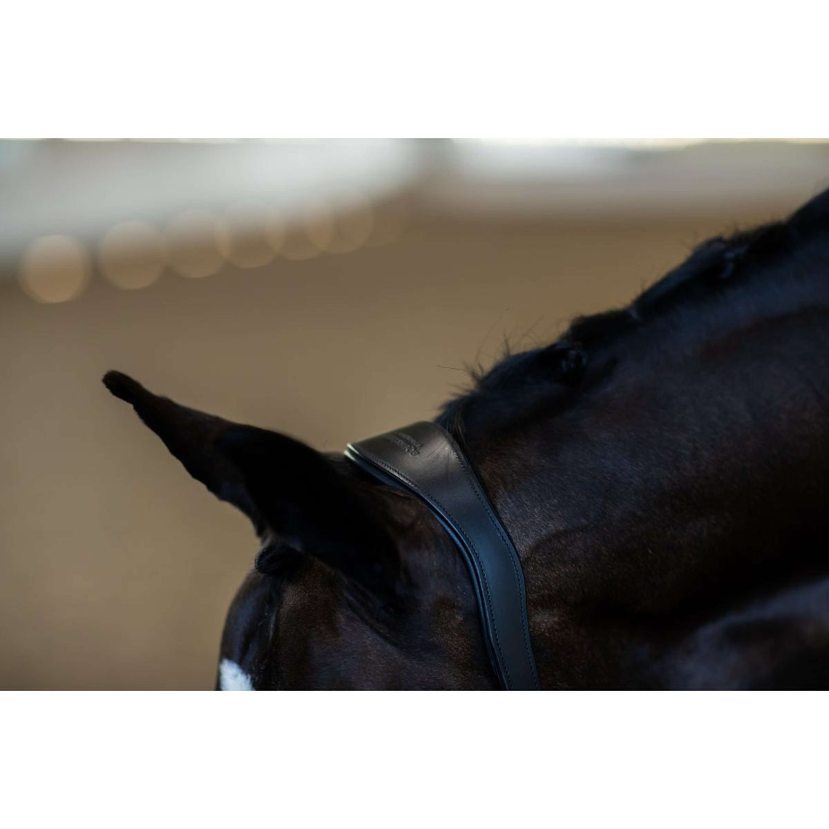 Equestrian Stockholm Halster Glimmer Anatomic Leather Zwart