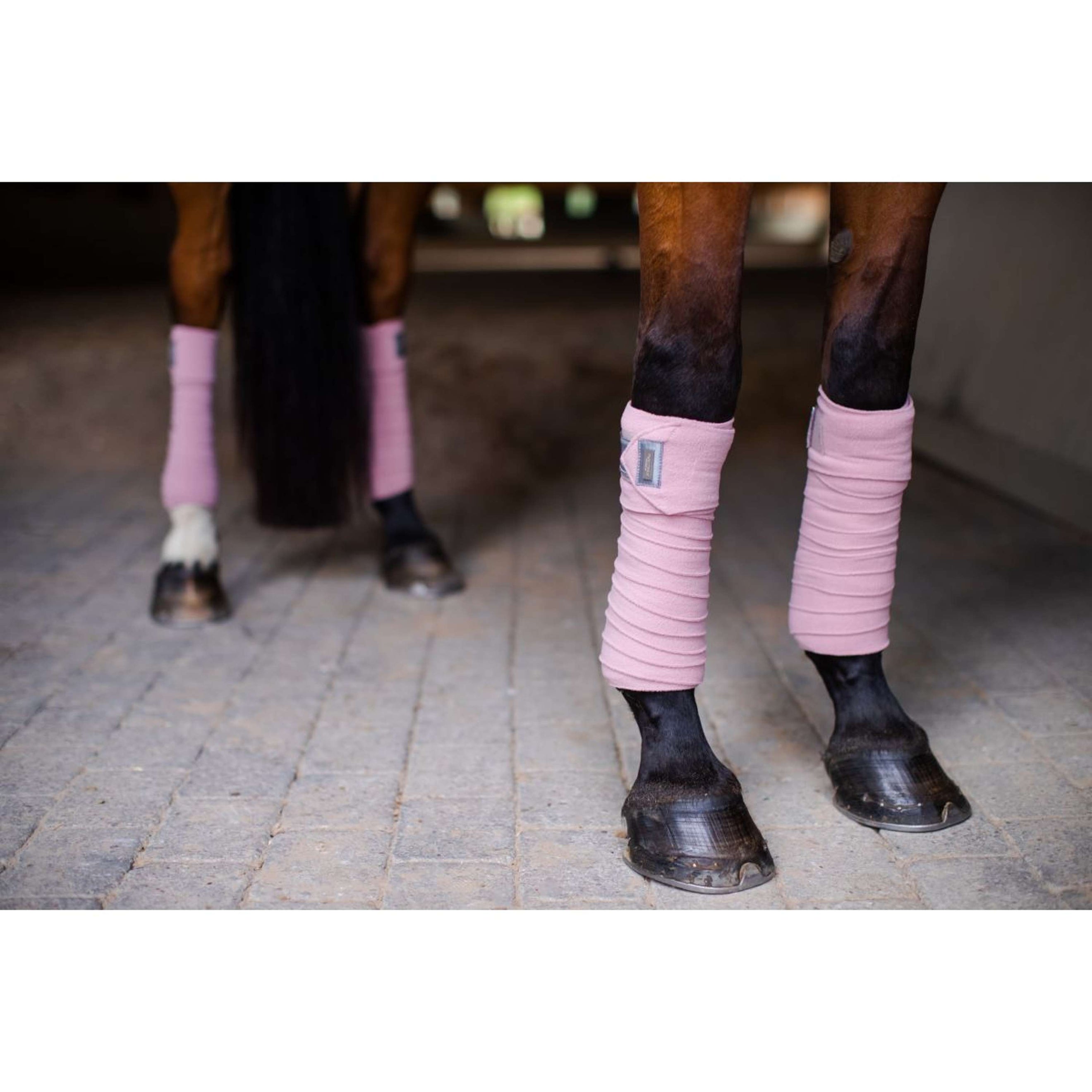 Equestrian Stockholm Bandages Roze Equestrian Stockholm Bandages Roze
