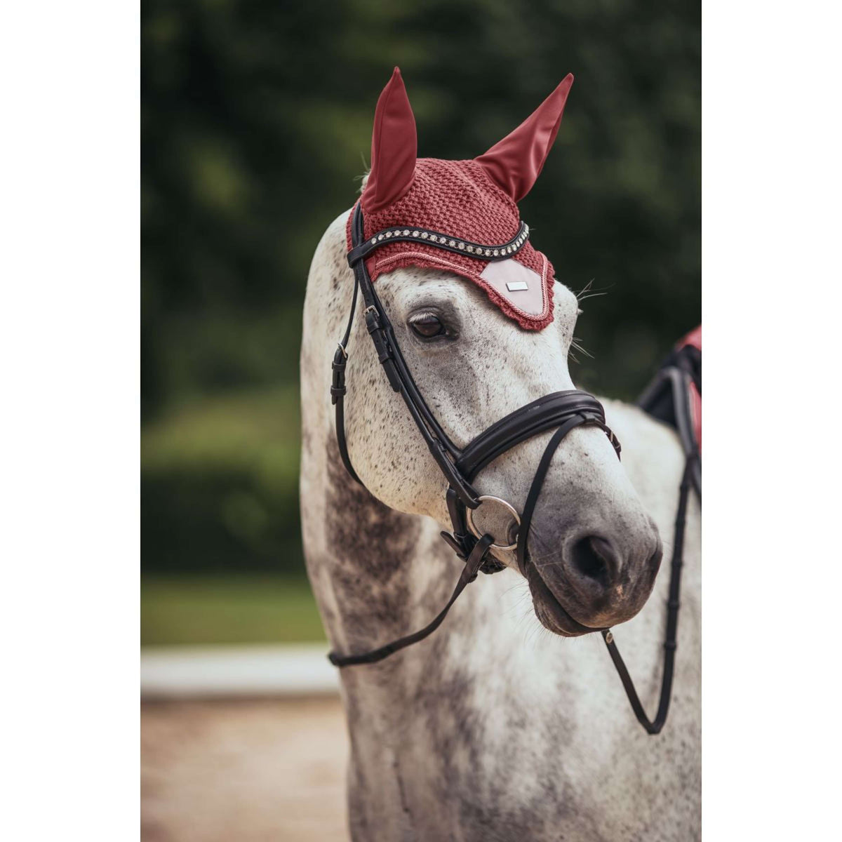 Equestrian Stockholm Oornetje Amber Rose