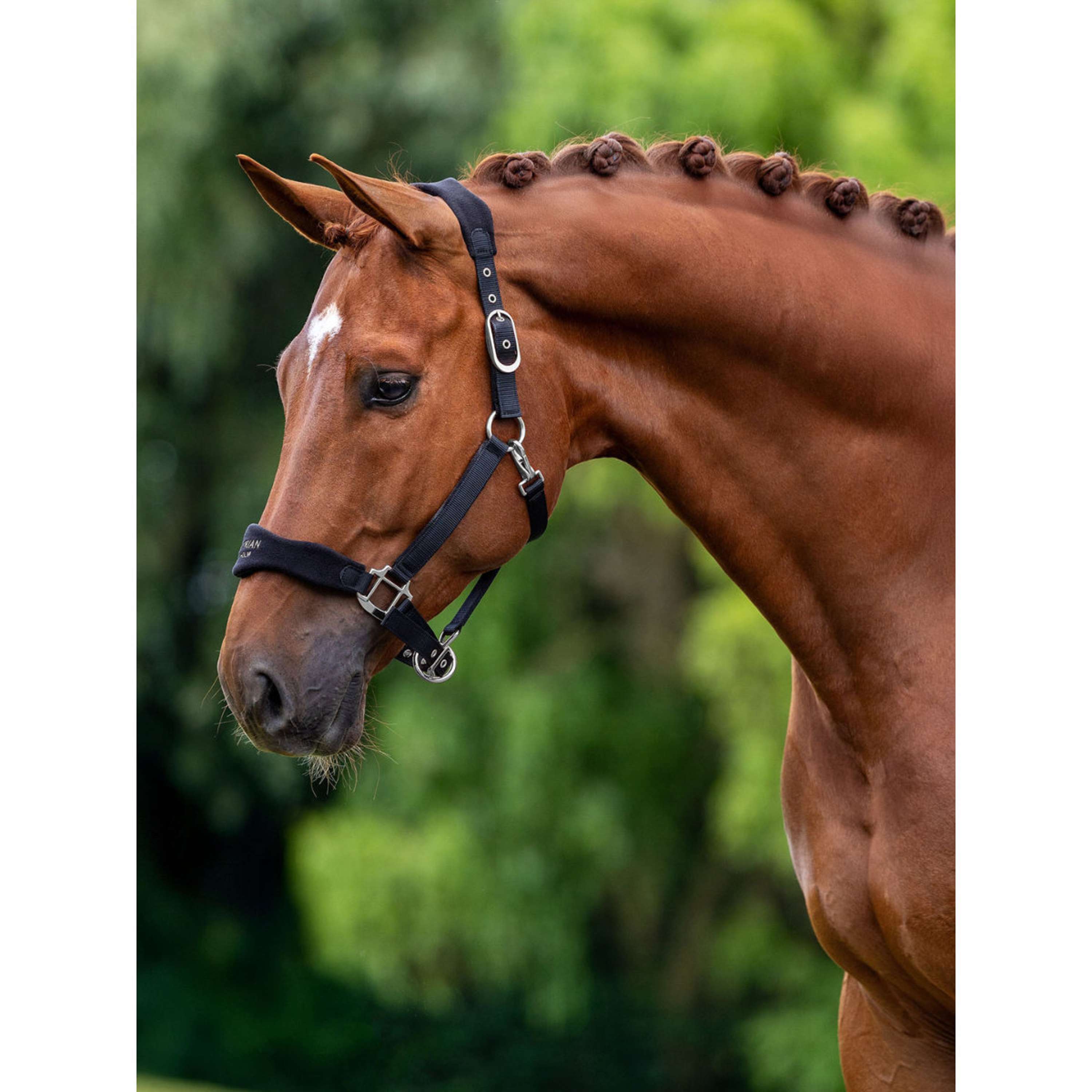 Equestrian Stockholm Halster Anatomic Fleece Zwart