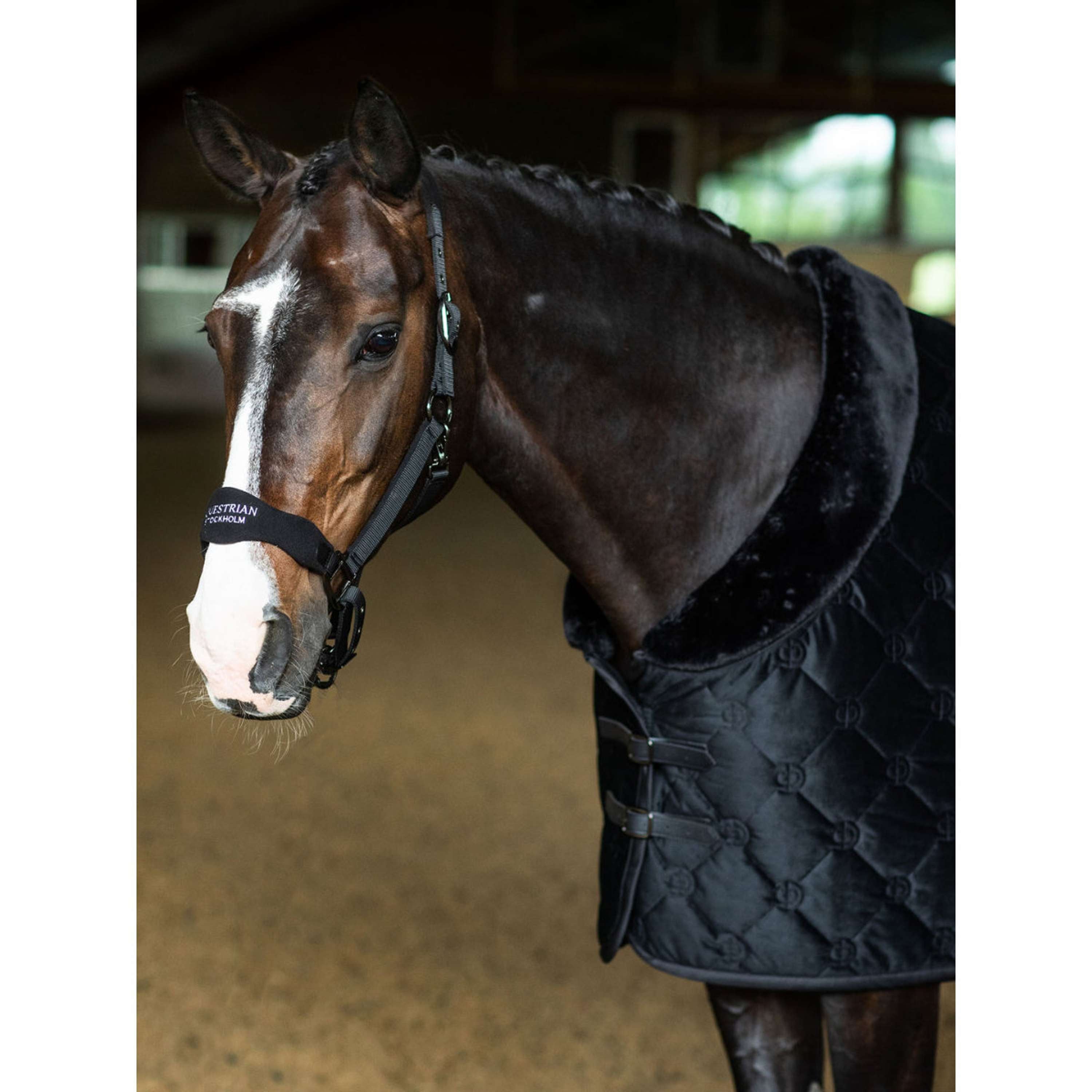 Equestrian Stockholm Halster Anatomic Fleece Zwart