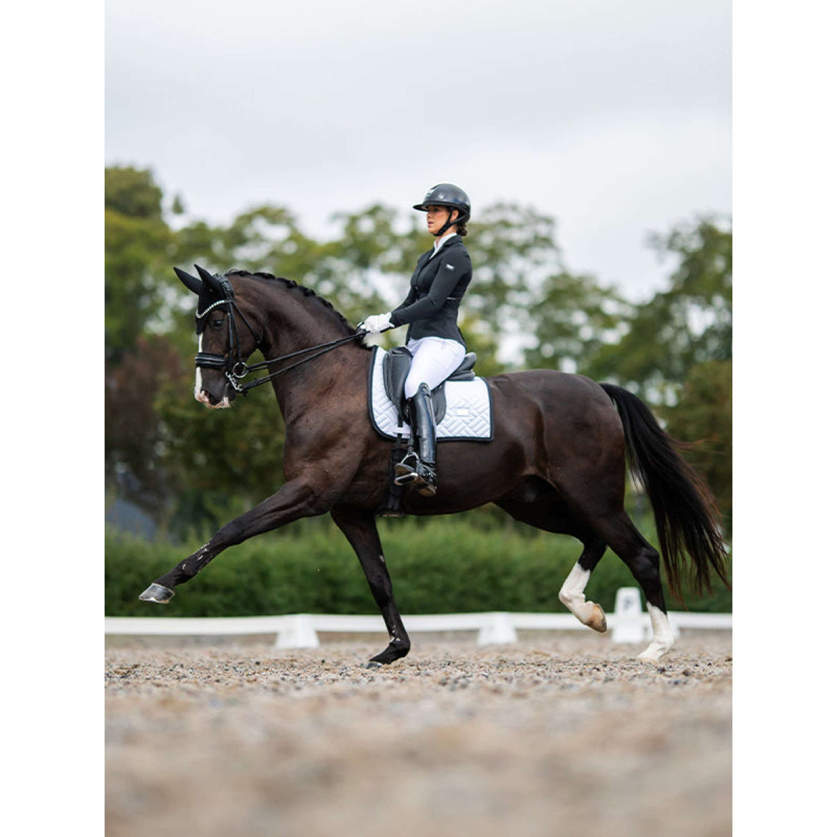 Equestrian Stockholm Zadeldekje Modern Dressuur Wit/Zwart