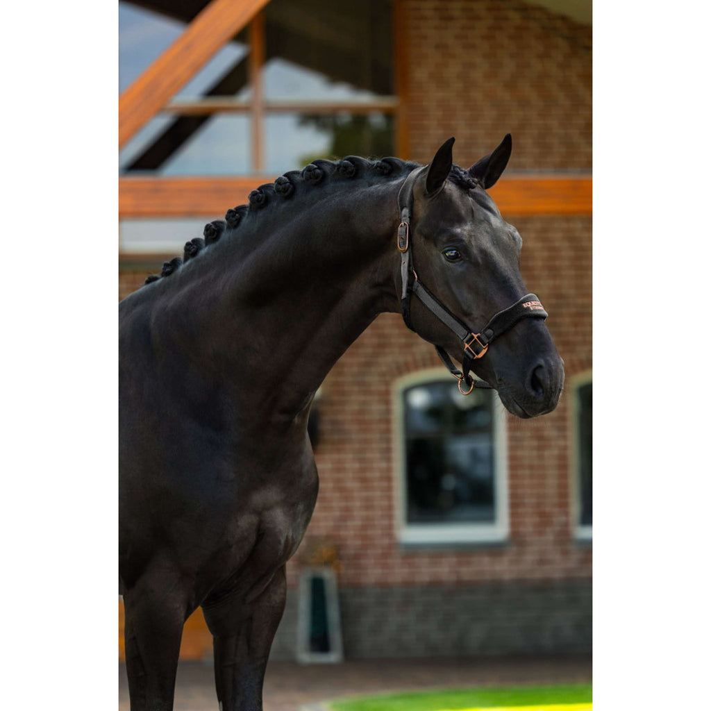 Equestrian Stockholm Halster Anatomic Fleece Zwart/Blush