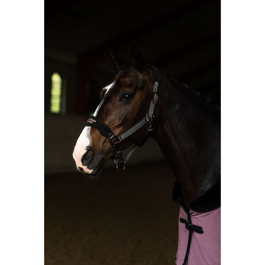 Equestrian Stockholm Halster Anatomic Fleece Zwart/Blush