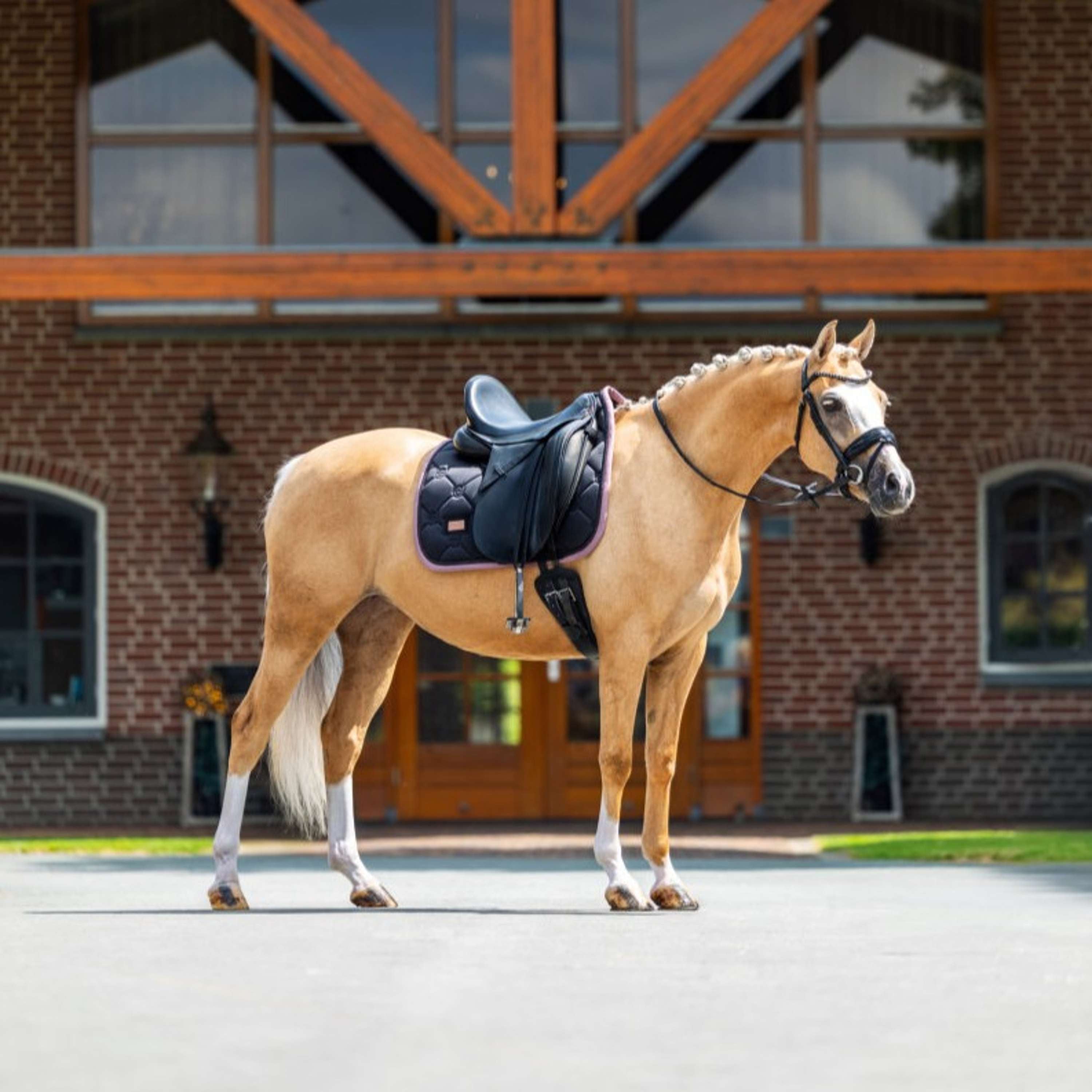 Equestrian Stockholm Zadeldekje Dressuur Zwart/Blush