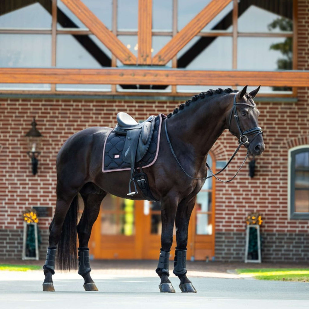 Equestrian Stockholm Zadeldekje Dressuur Zwart/Blush