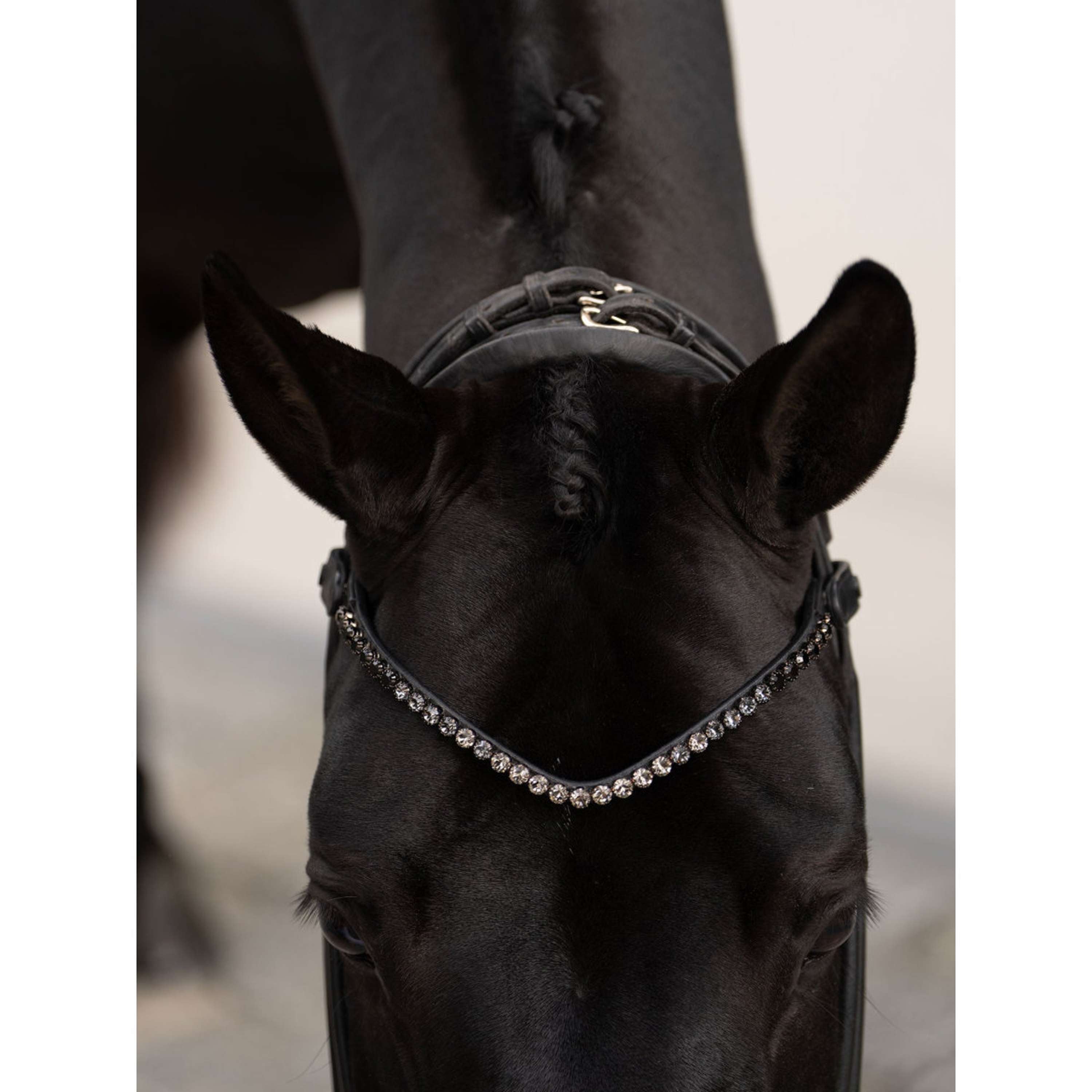 Equestrian Stockholm Frontriem Faded 8mm Zwart
