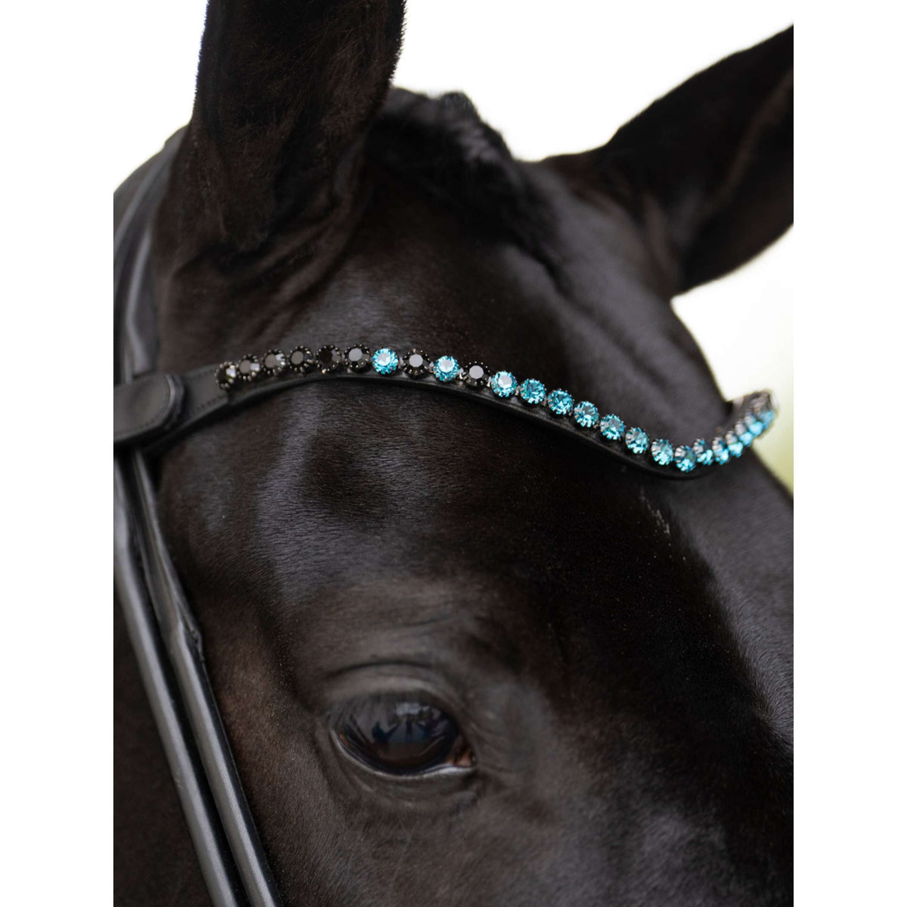 Equestrian Stockholm Frontriem Faded 8mm Blue Meadow