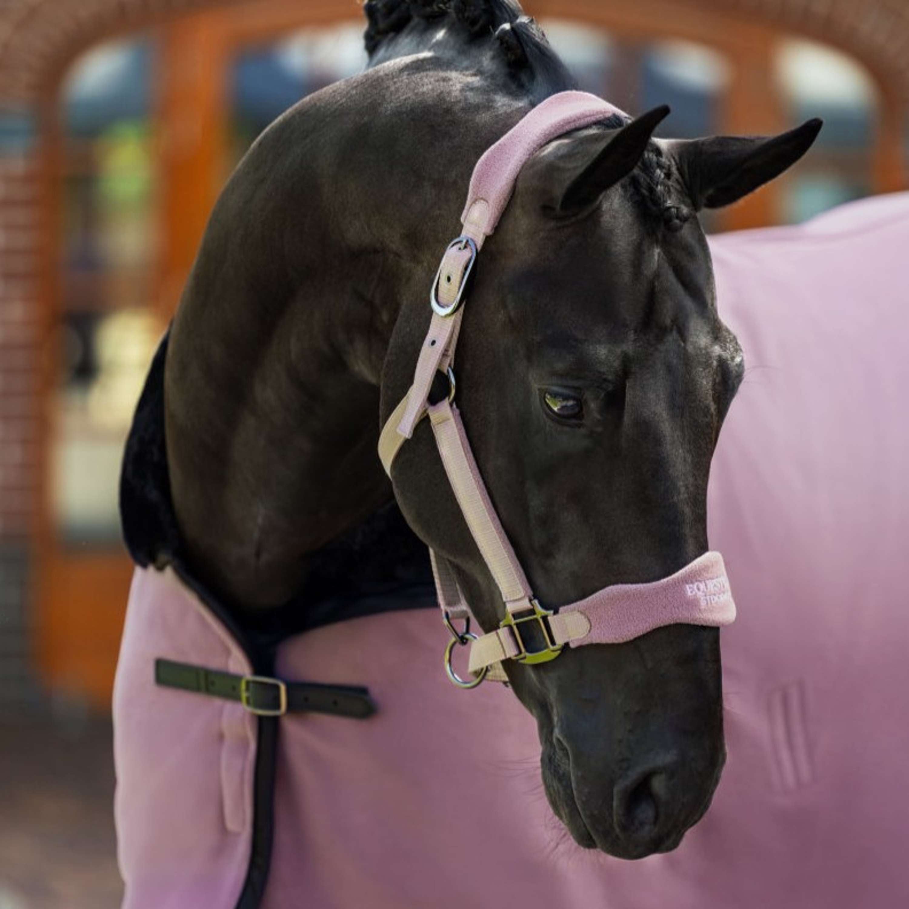 Equestrian Stockholm Halster Anatomic Fleece Blush