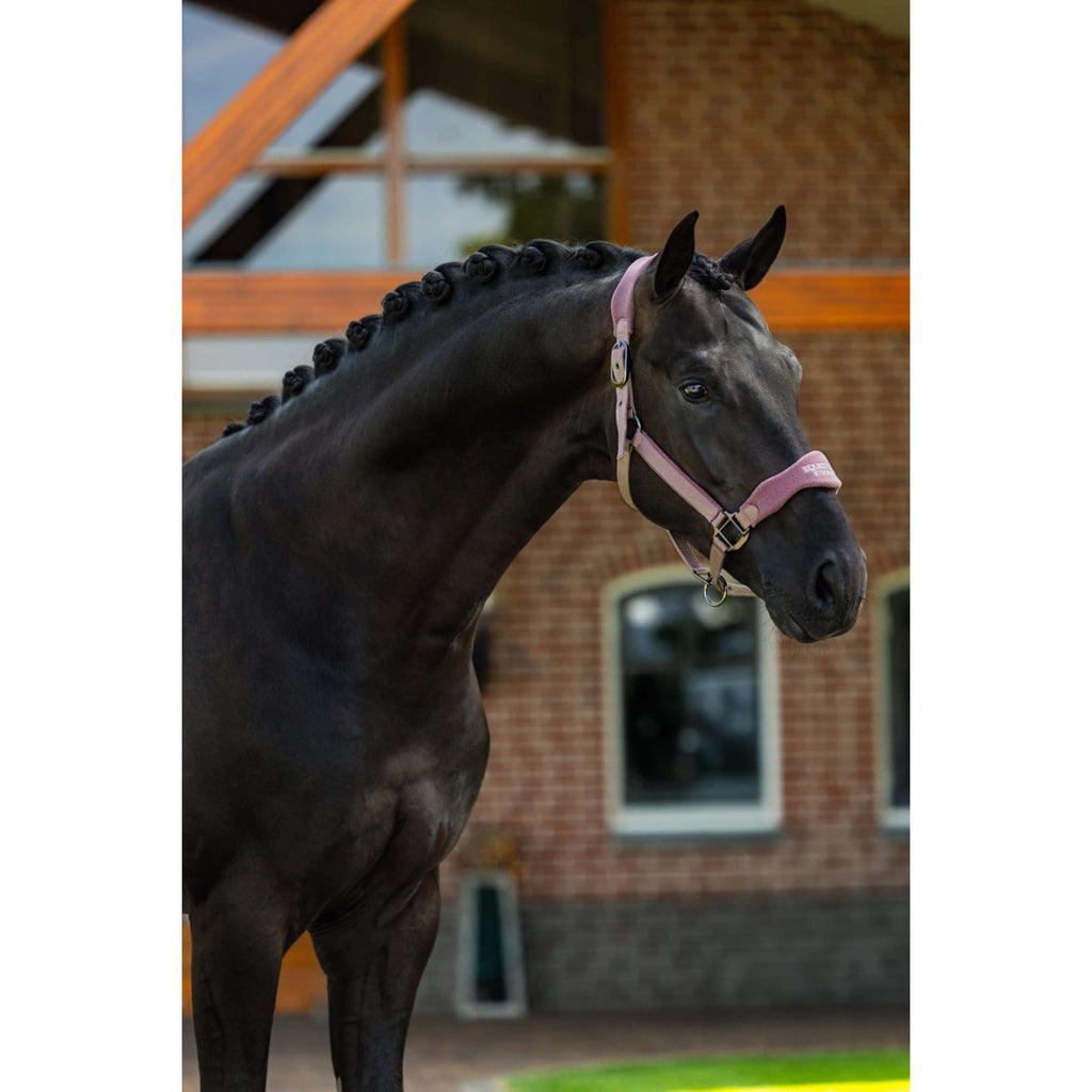 Equestrian Stockholm Halster Anatomic Fleece Blush