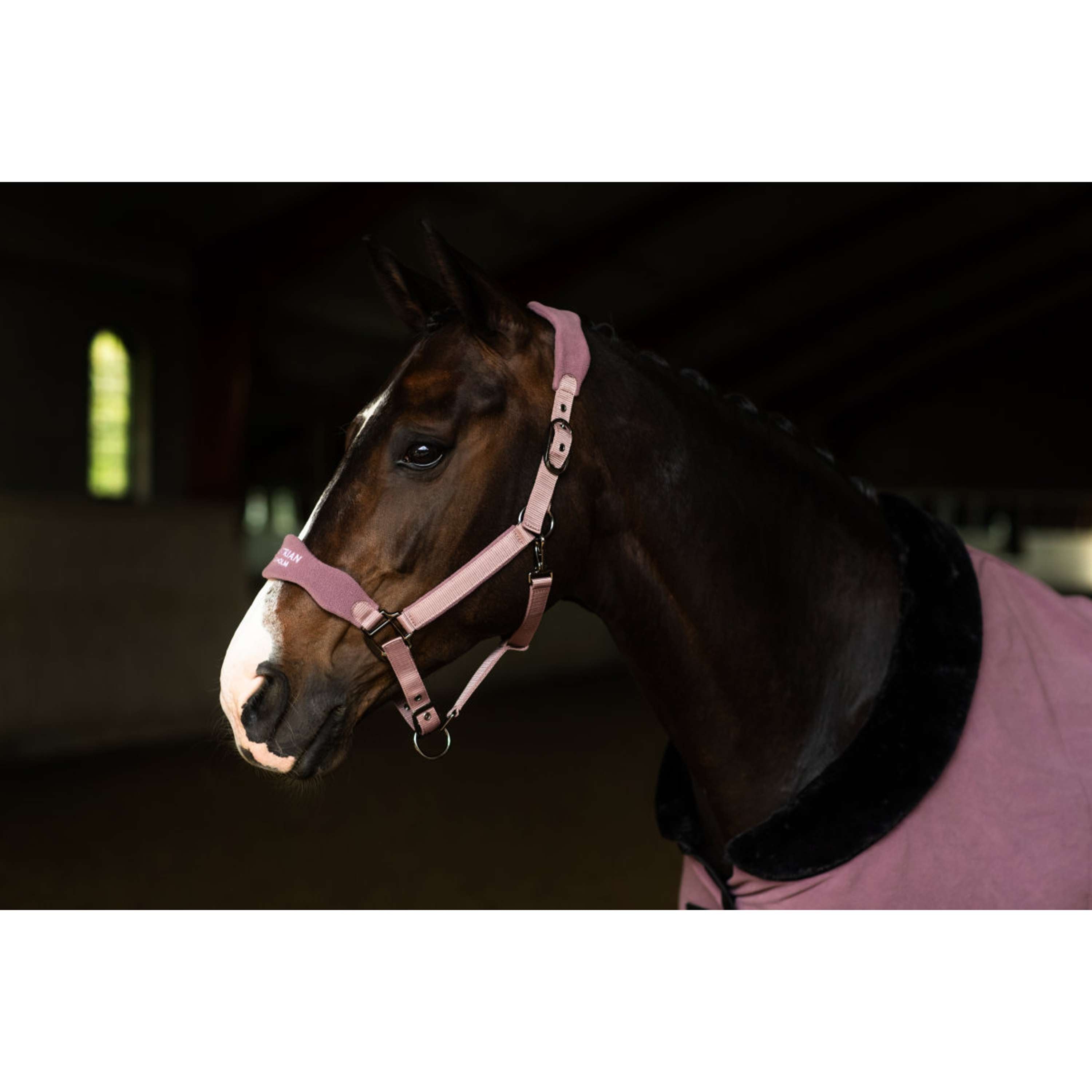 Equestrian Stockholm Halster Anatomic Fleece Blush