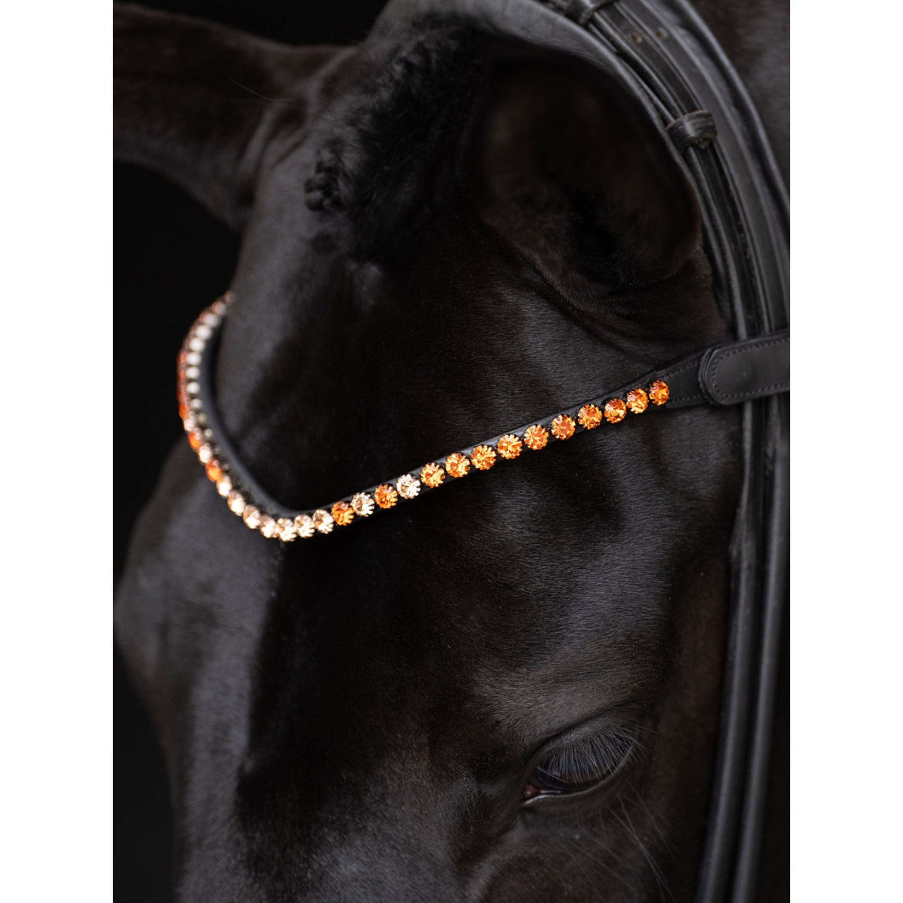 Equestrian Stockholm Frontriem Faded 8mm Chestnut