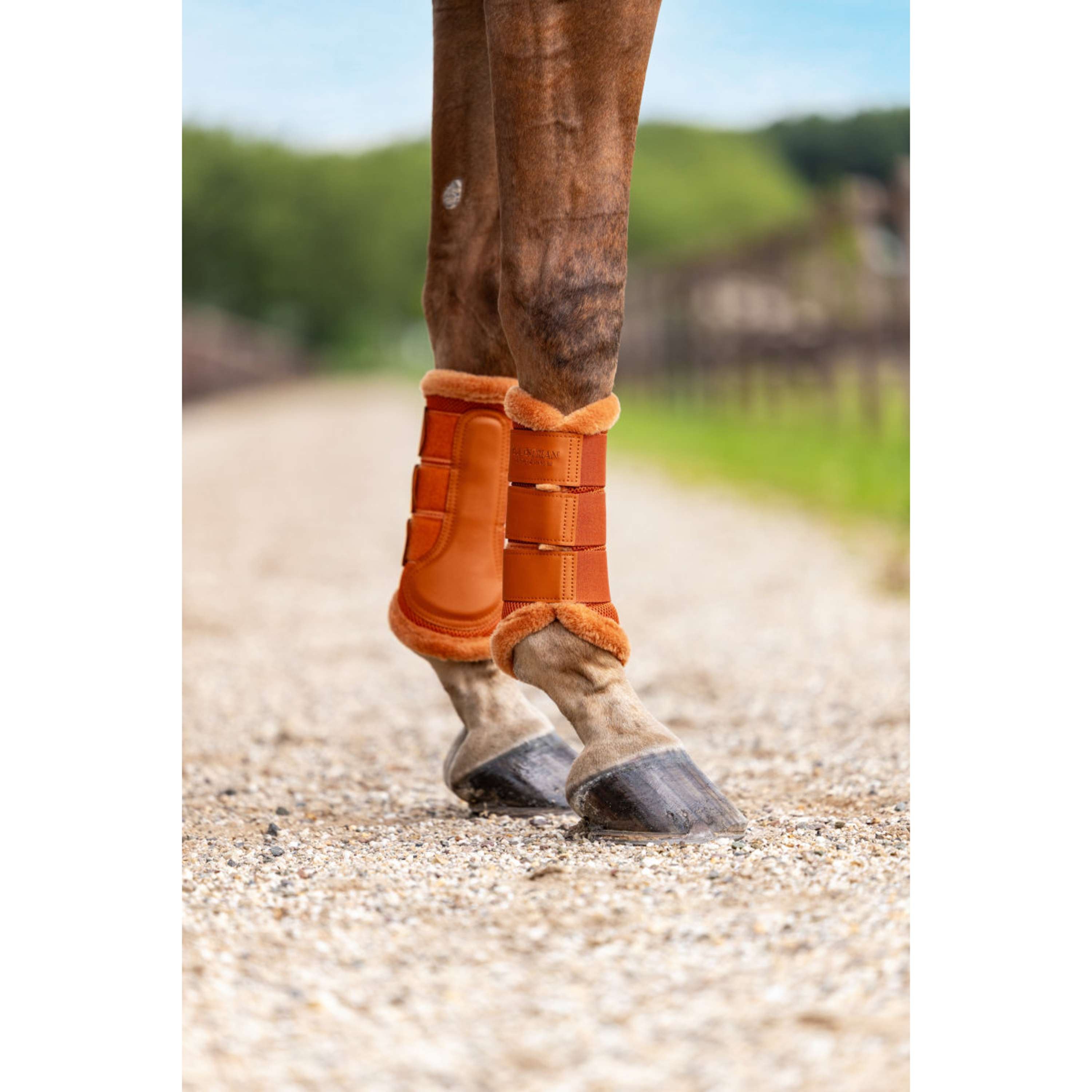 Equestrian Stockholm Beenbeschermers Fur Mesh Chestnut
