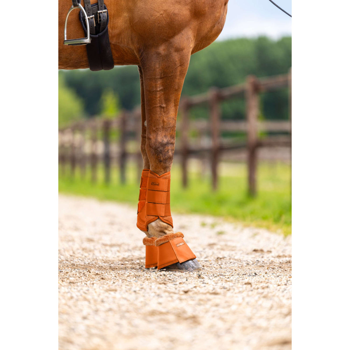 Equestrian Stockholm Springschoenen Chestnut