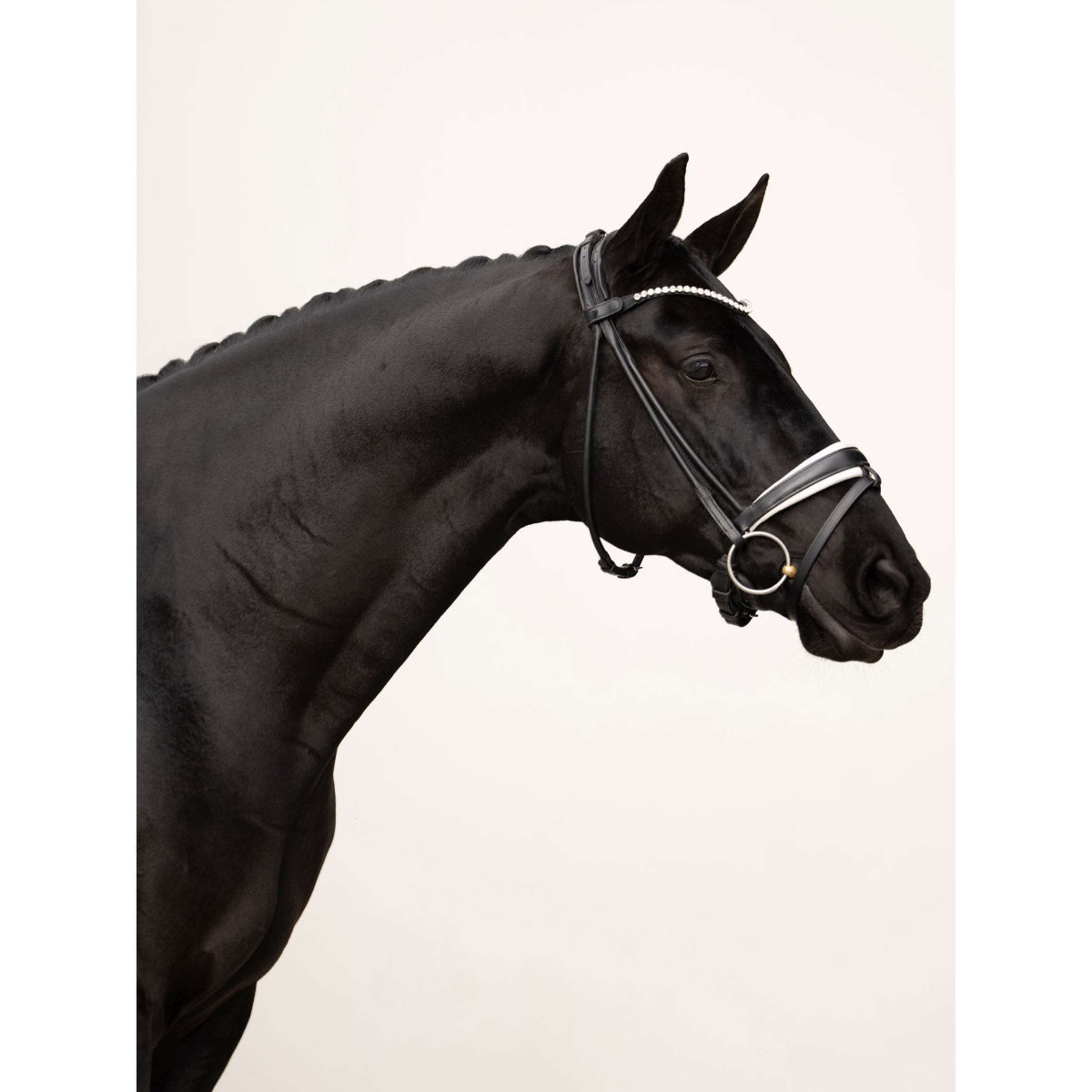 Equestrian Stockholm Frontriem Faded 8mm Crystal