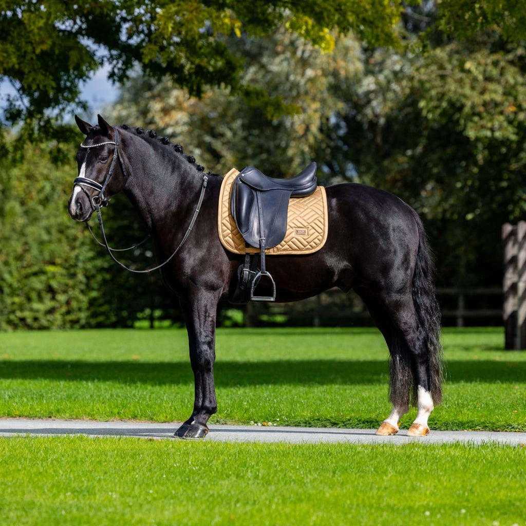 Equestrian Stockholm Zadeldekje Modern Dressuur Midsummer Glow