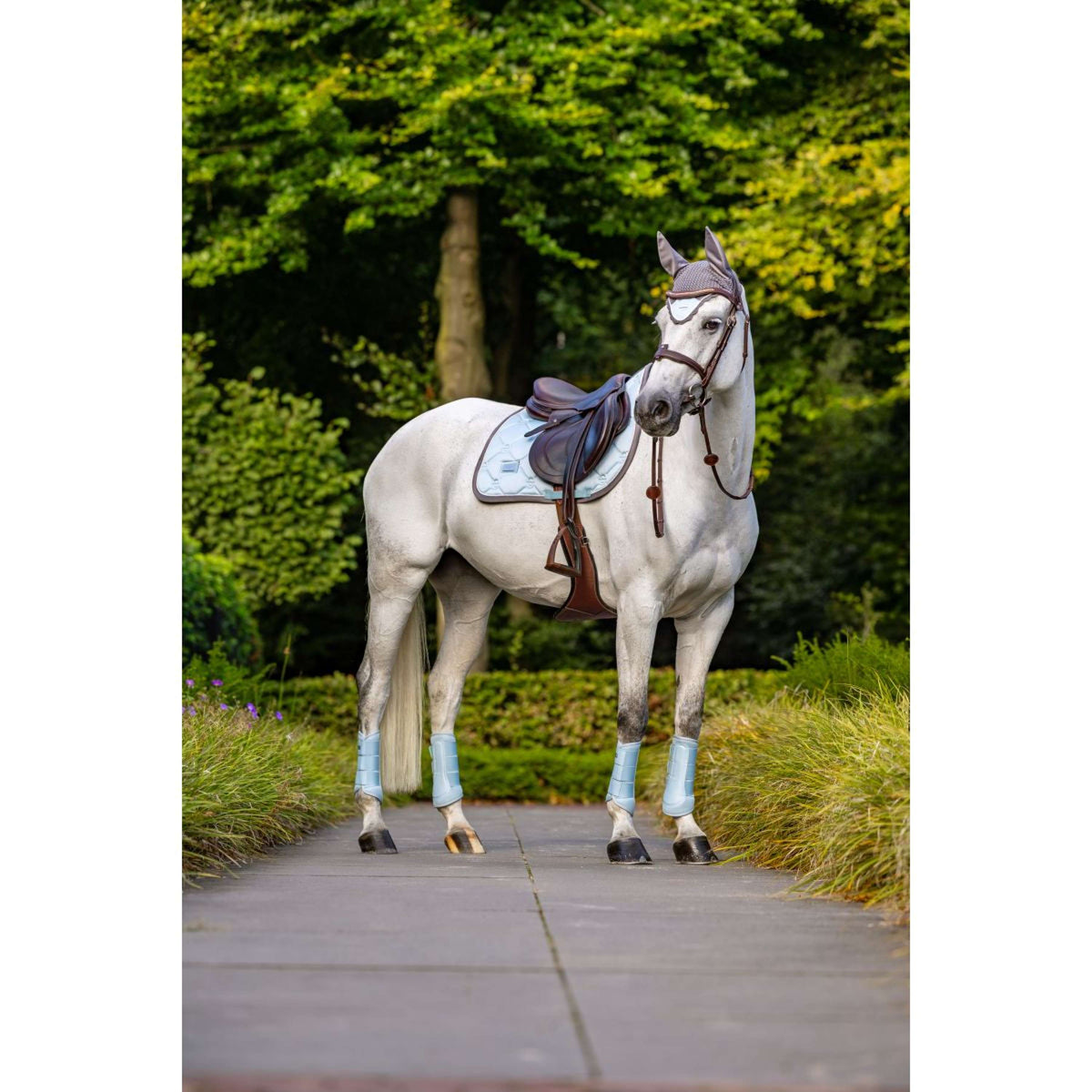 Equestrian Stockholm Beenbeschermers Classic Mesh Ice Blue