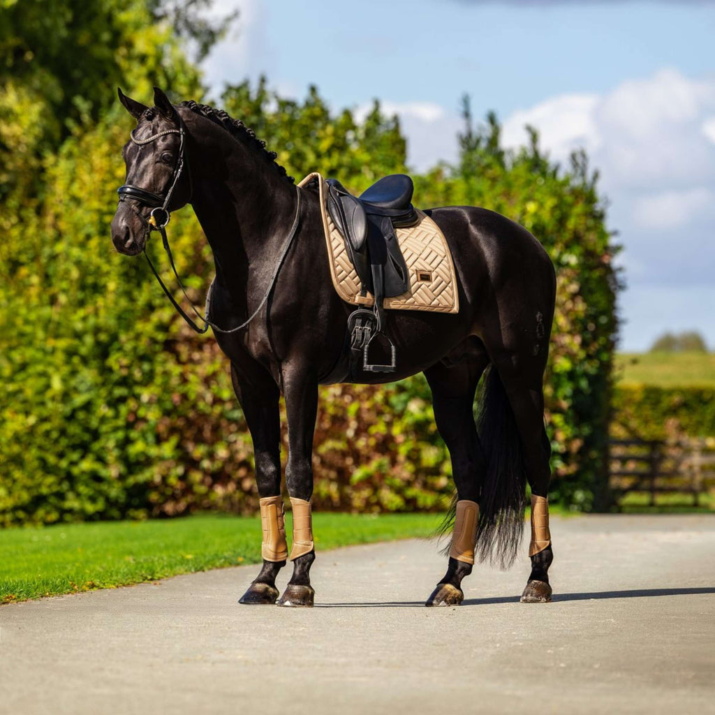 Equestrian Stockholm Beenbeschermers Classic Mesh Midsummer Glow