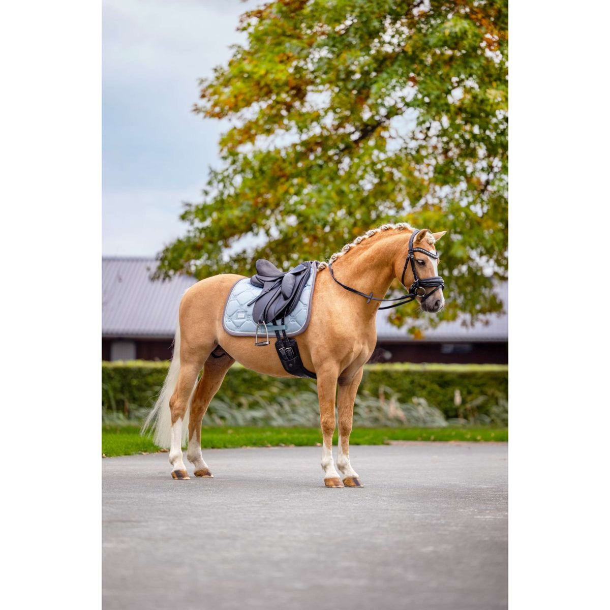 Equestrian Stockholm Zadeldekje Dressuur Ice Blue