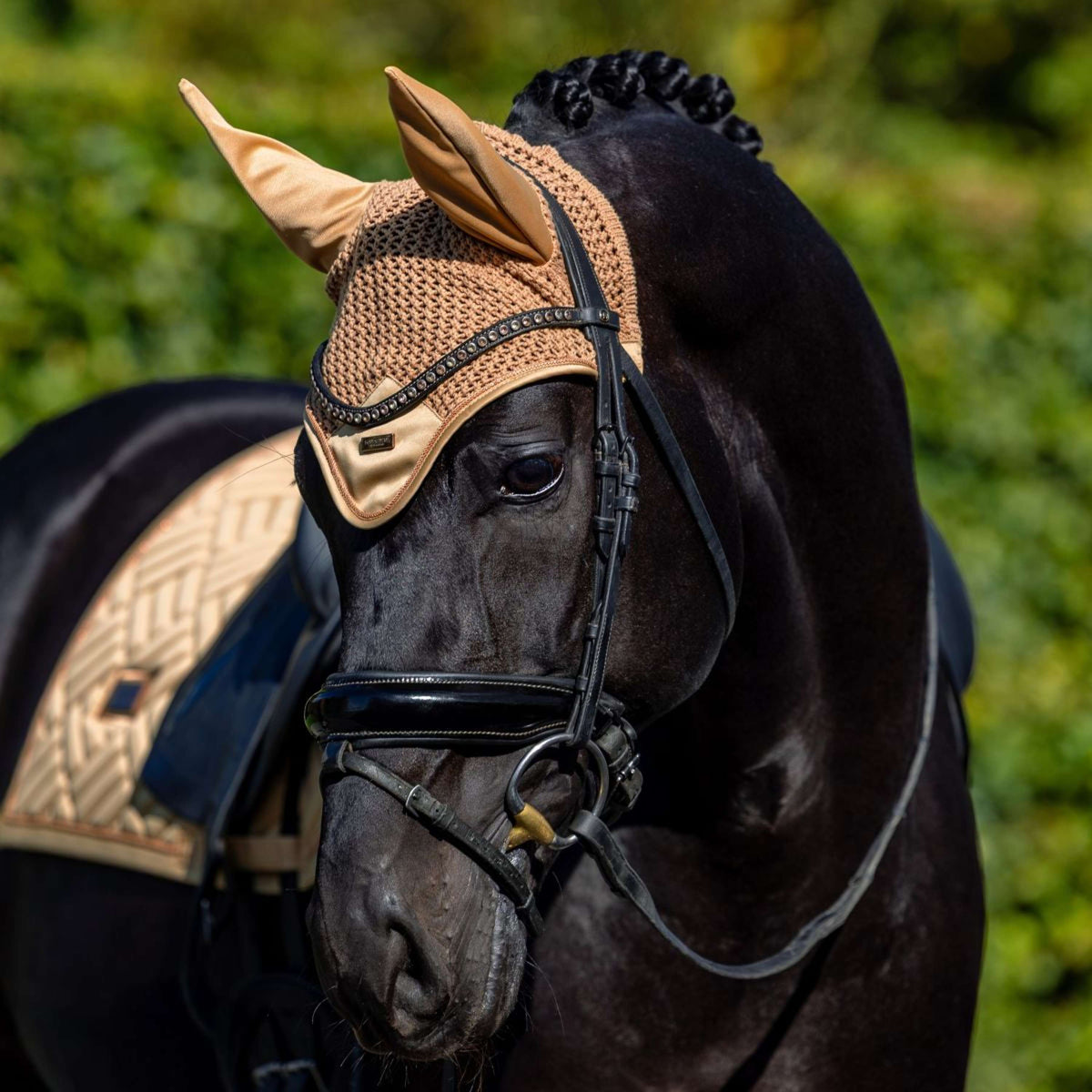 Equestrian Stockholm Zadeldekje Modern Dressuur Midsummer Glow