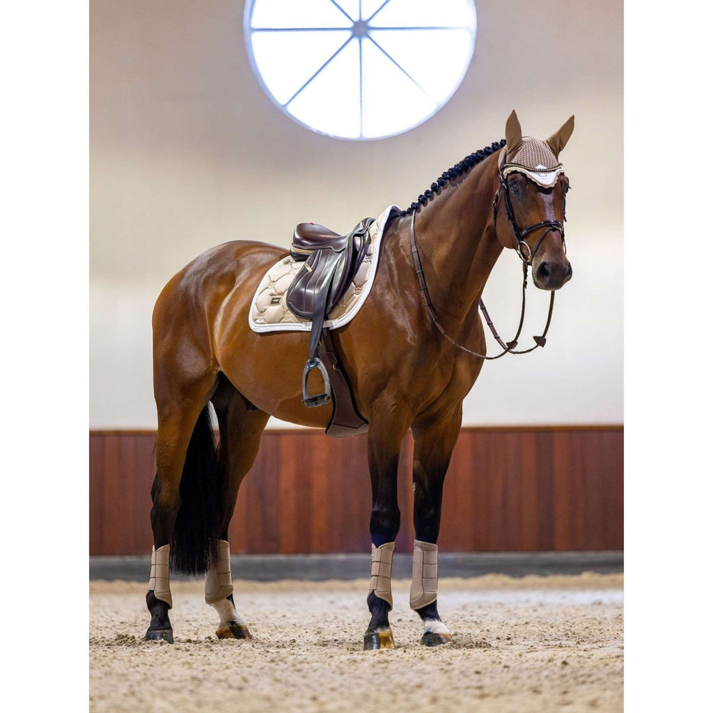 Equestrian Stockholm Zadeldekje Springen Sand