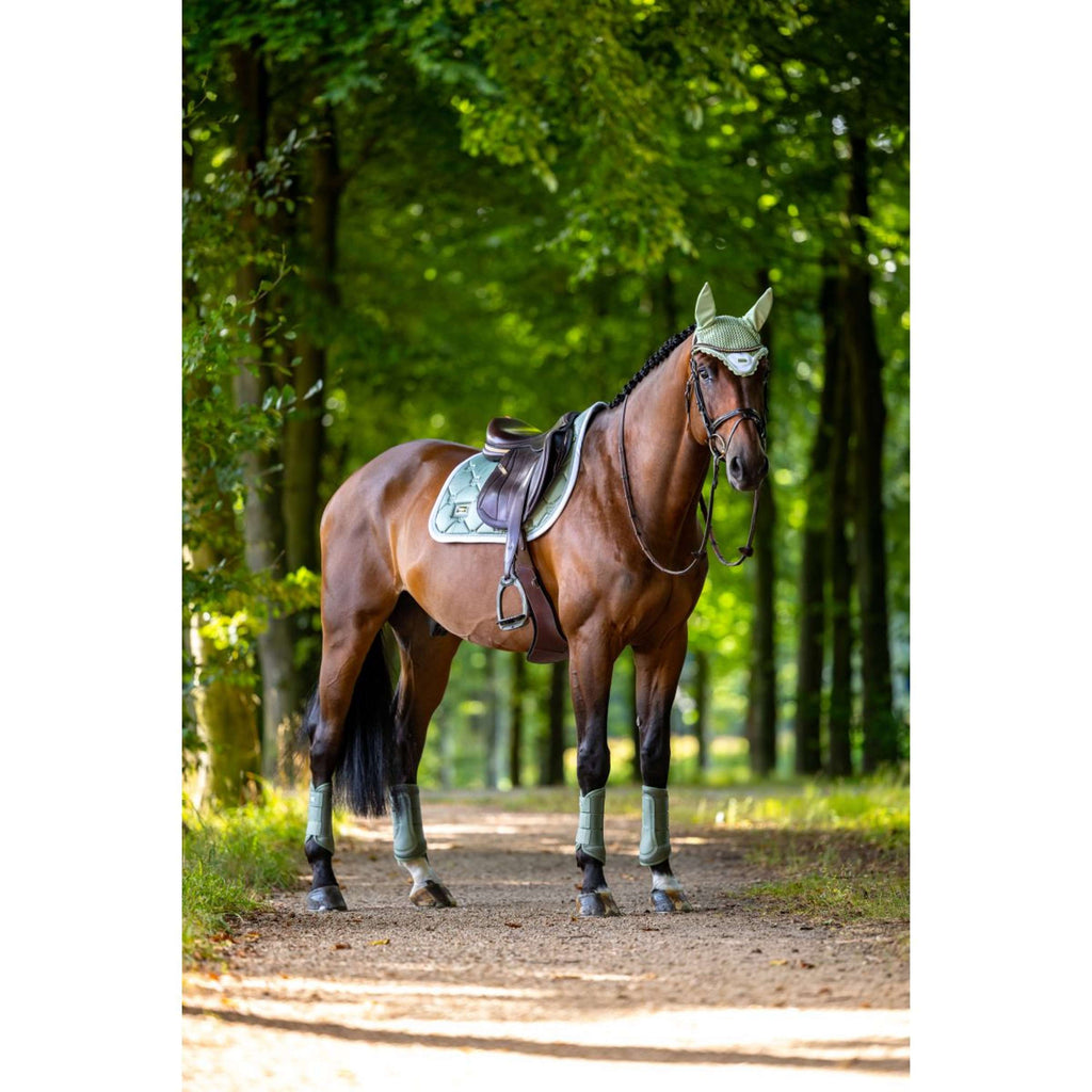 Equestrian Stockholm Beenbeschermers Classic Mesh Pistachio White