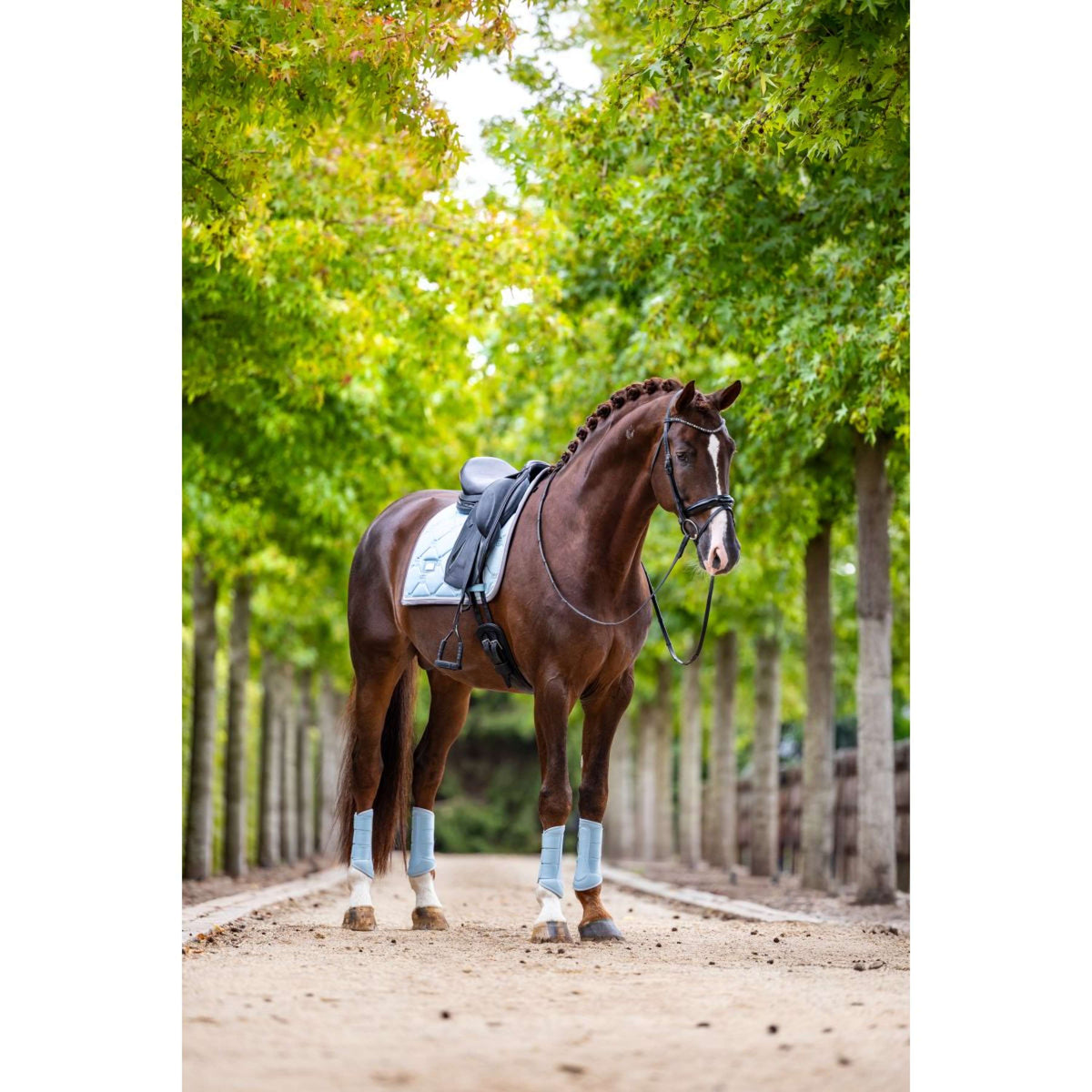 Equestrian Stockholm Beenbeschermers Classic Mesh Ice Blue