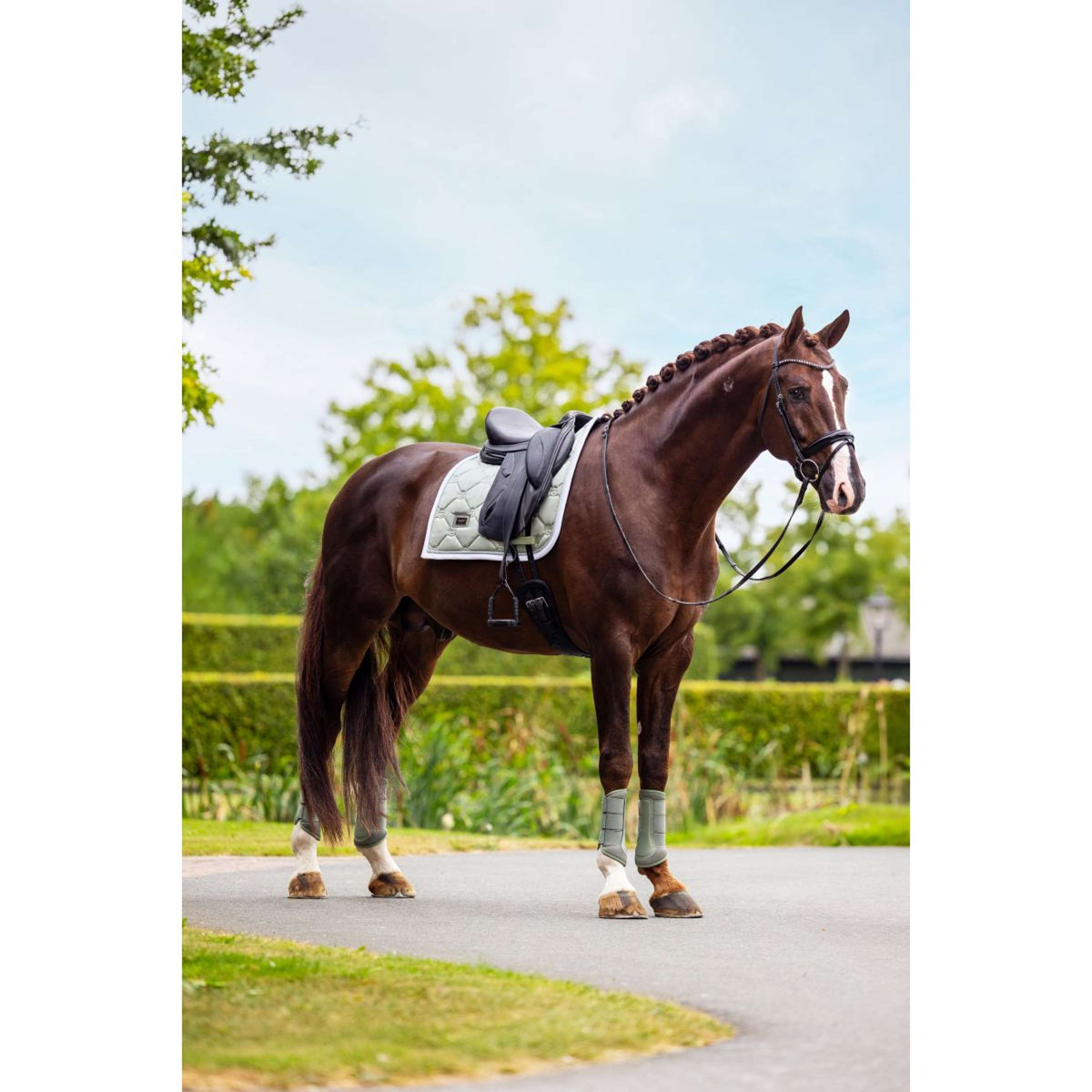 Equestrian Stockholm Zadeldekje Dressuur Pistachio White