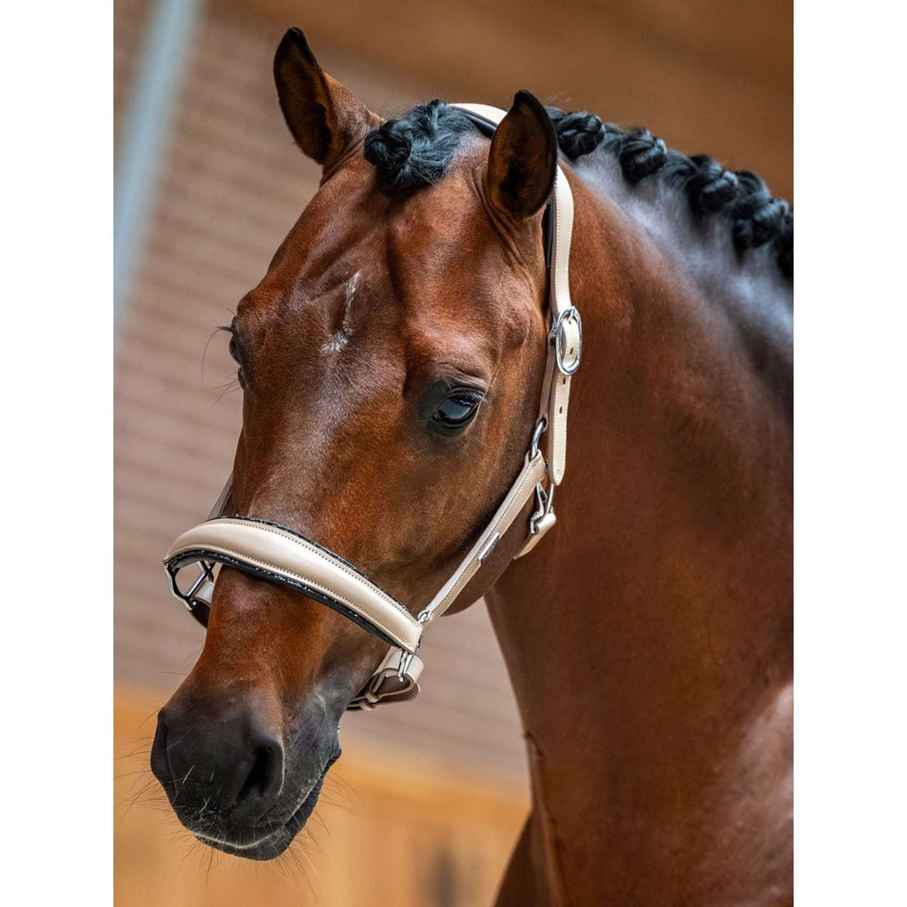 Equestrian Stockholm Halster Glimmer Leather Anatomic Sand