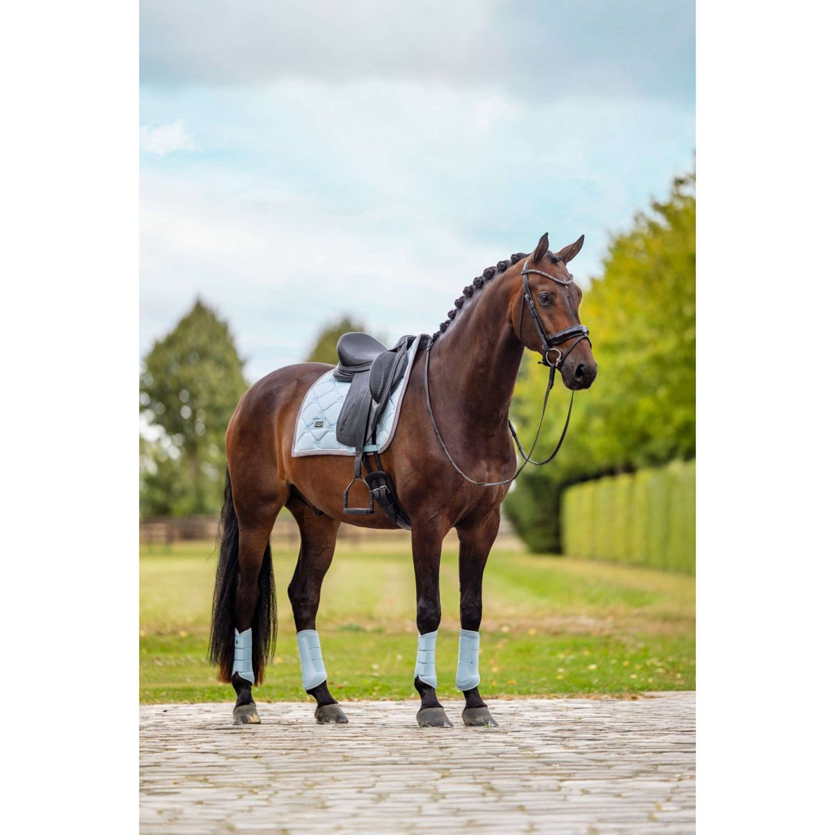 Equestrian Stockholm Beenbeschermers Classic Mesh Ice Blue