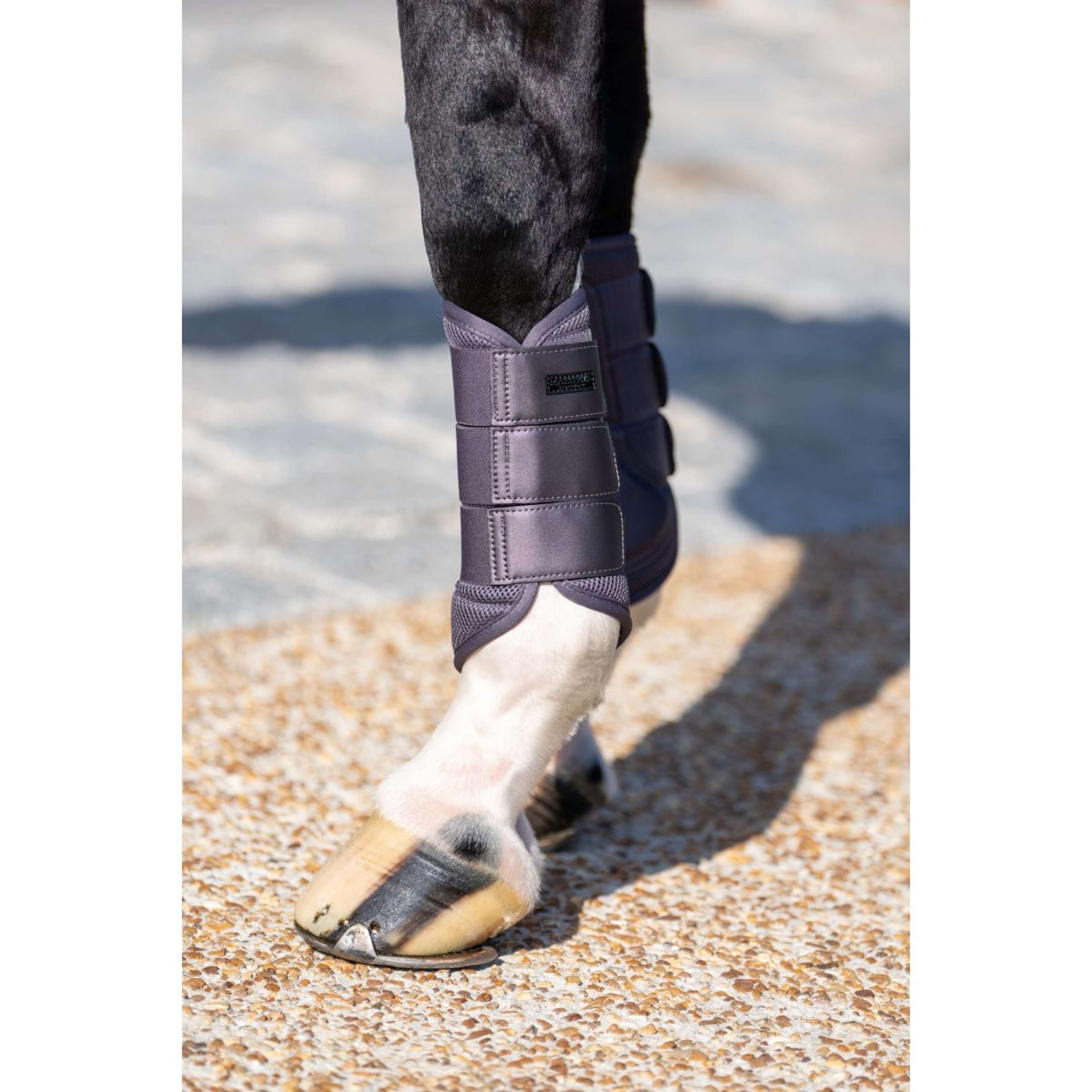 Equestrian Stockholm Beenbeschermers Classic Mesh Dark Violet Equestrian Stockholm Beenbeschermers Classic Mesh Dark Violet