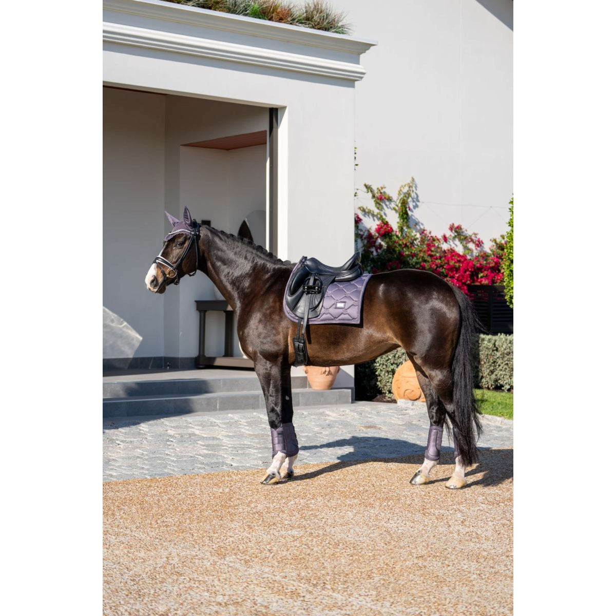 Equestrian Stockholm Beenbeschermers Classic Mesh Dark Violet