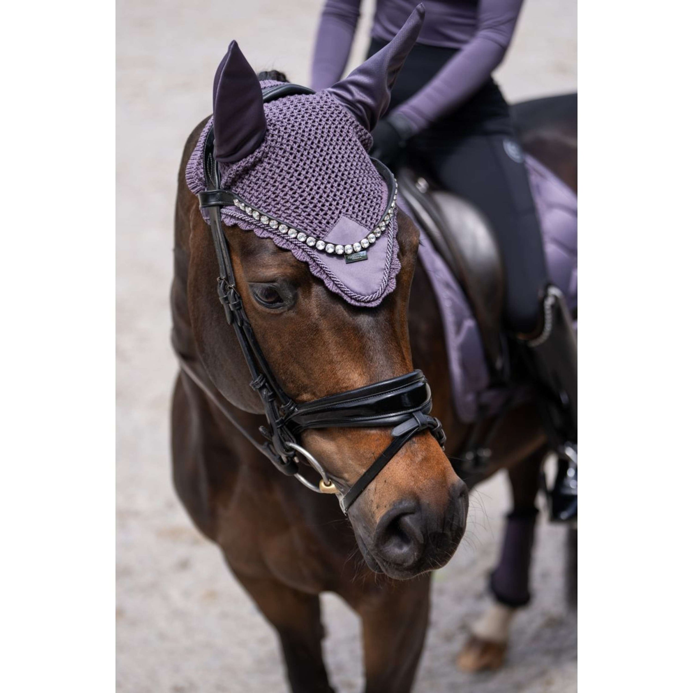 Equestrian Stockholm Oornetje Dark Violet