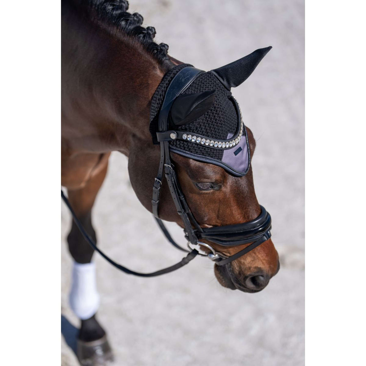 Equestrian Stockholm Oornetje Modern Dark Violet